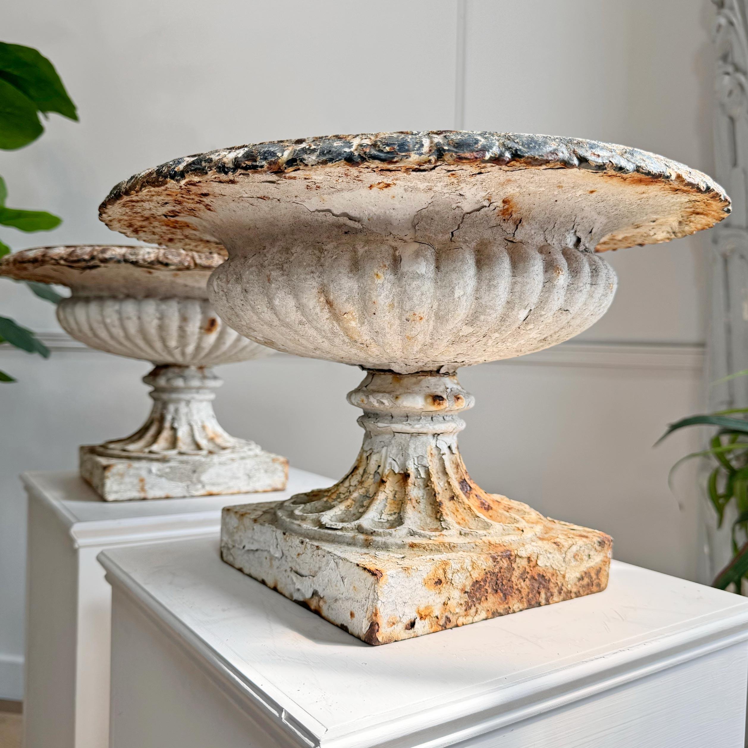 A matched pair of mid-19thCentury cast iron Tazza Urns in a beautifully worn white paint, flashes of black and red paint throughout, circa 1860. 



These urns are of superb proportion and becoming increasingly rare to find as a pair, with this