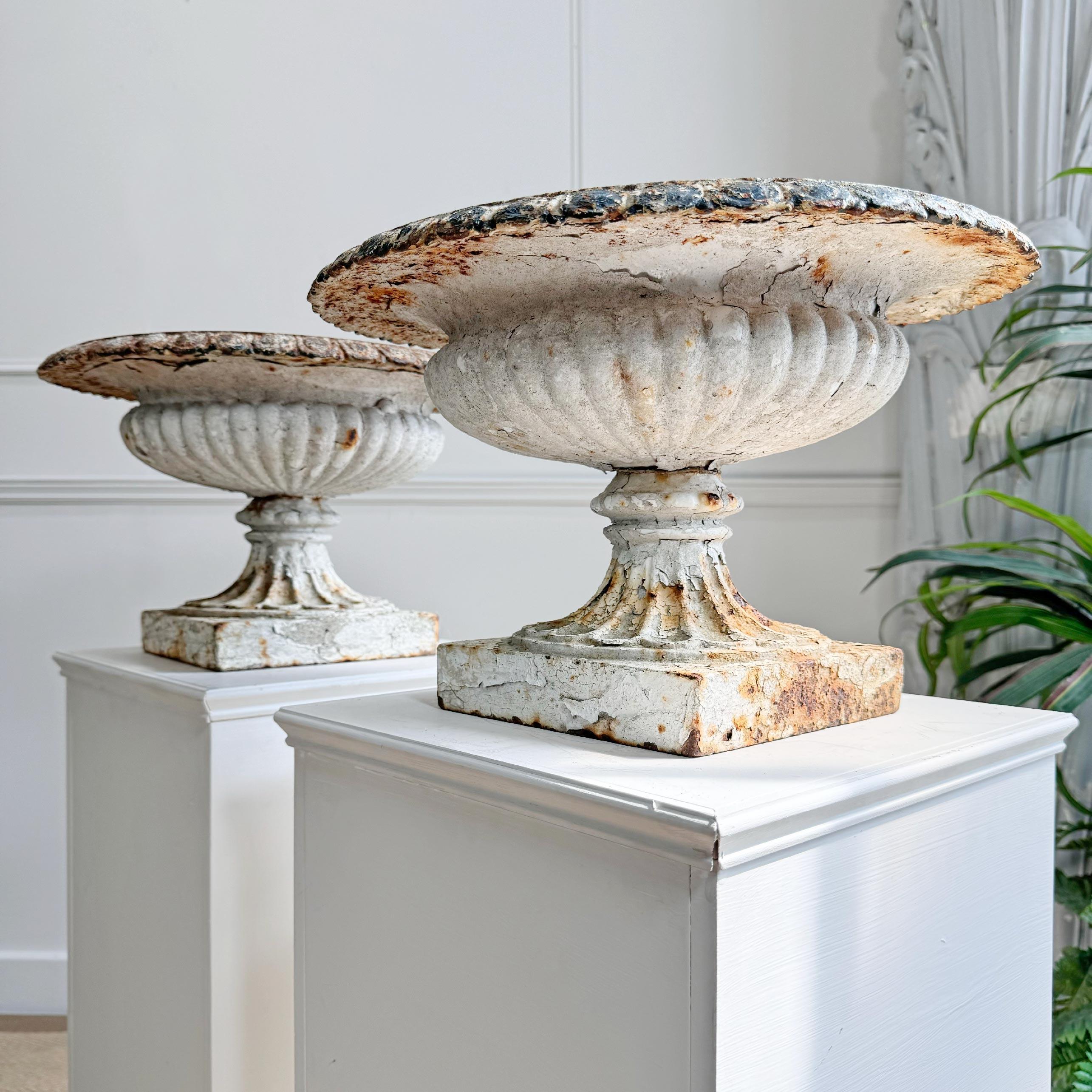 Neoclassical Pair of Smaller Scale 19th Century English Cast Iron Tazza Urns