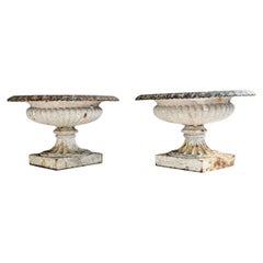 Pair of Smaller Scale 19th Century English Cast Iron Tazza Urns