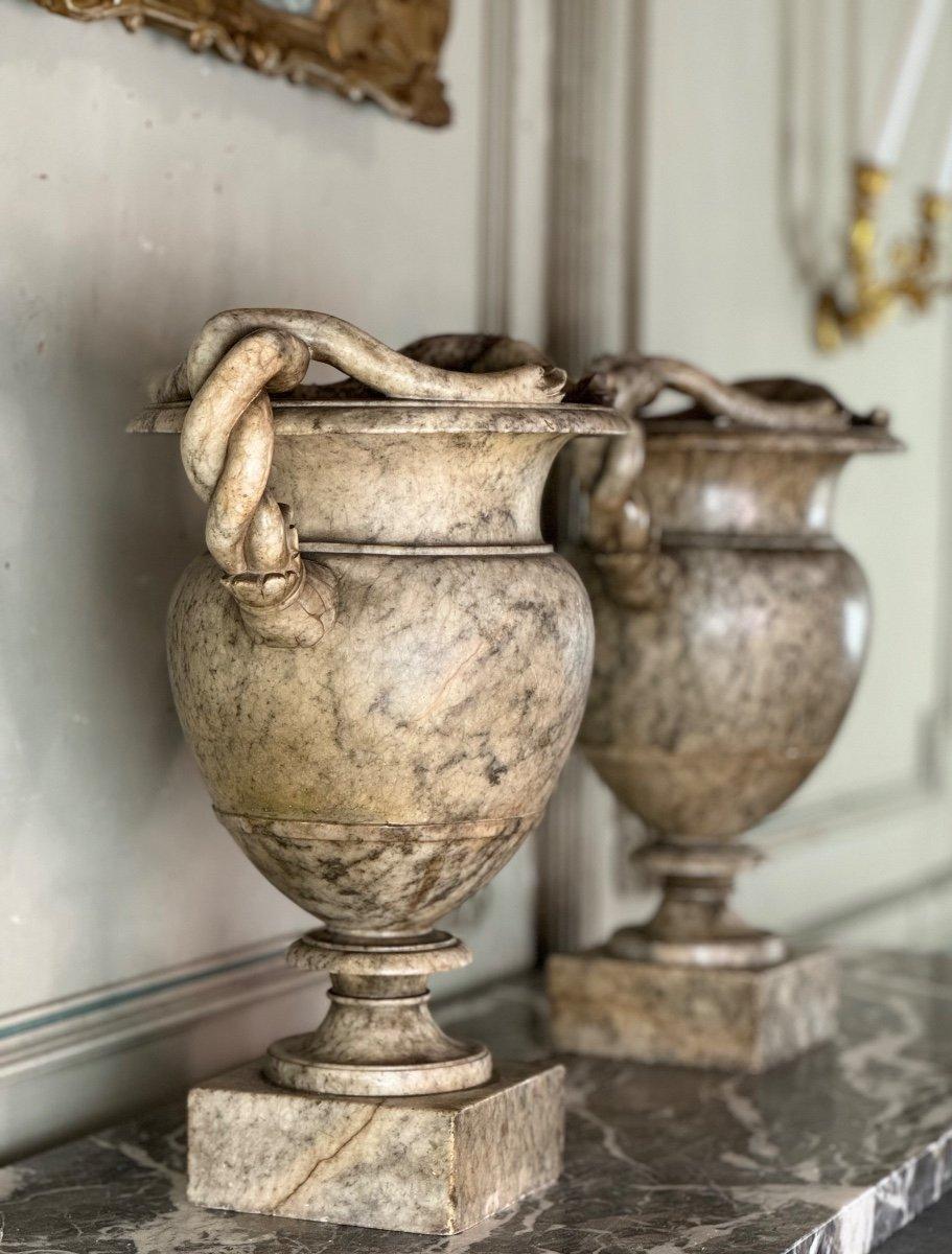 Paire d'urnes serpentines en albâtre, Italie, 19ème siècle 7
