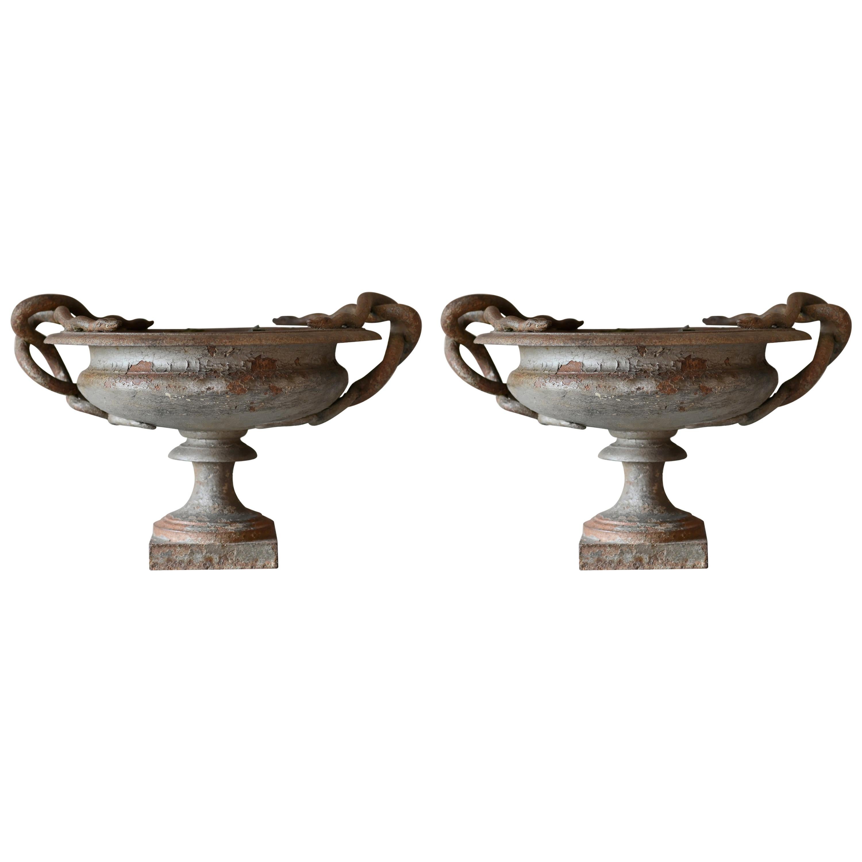 Pair of Snake Vases, Iron, French, Europe, circa 1840-1860, Snake Handles For Sale