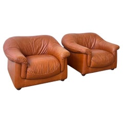 Fauteuils de salon