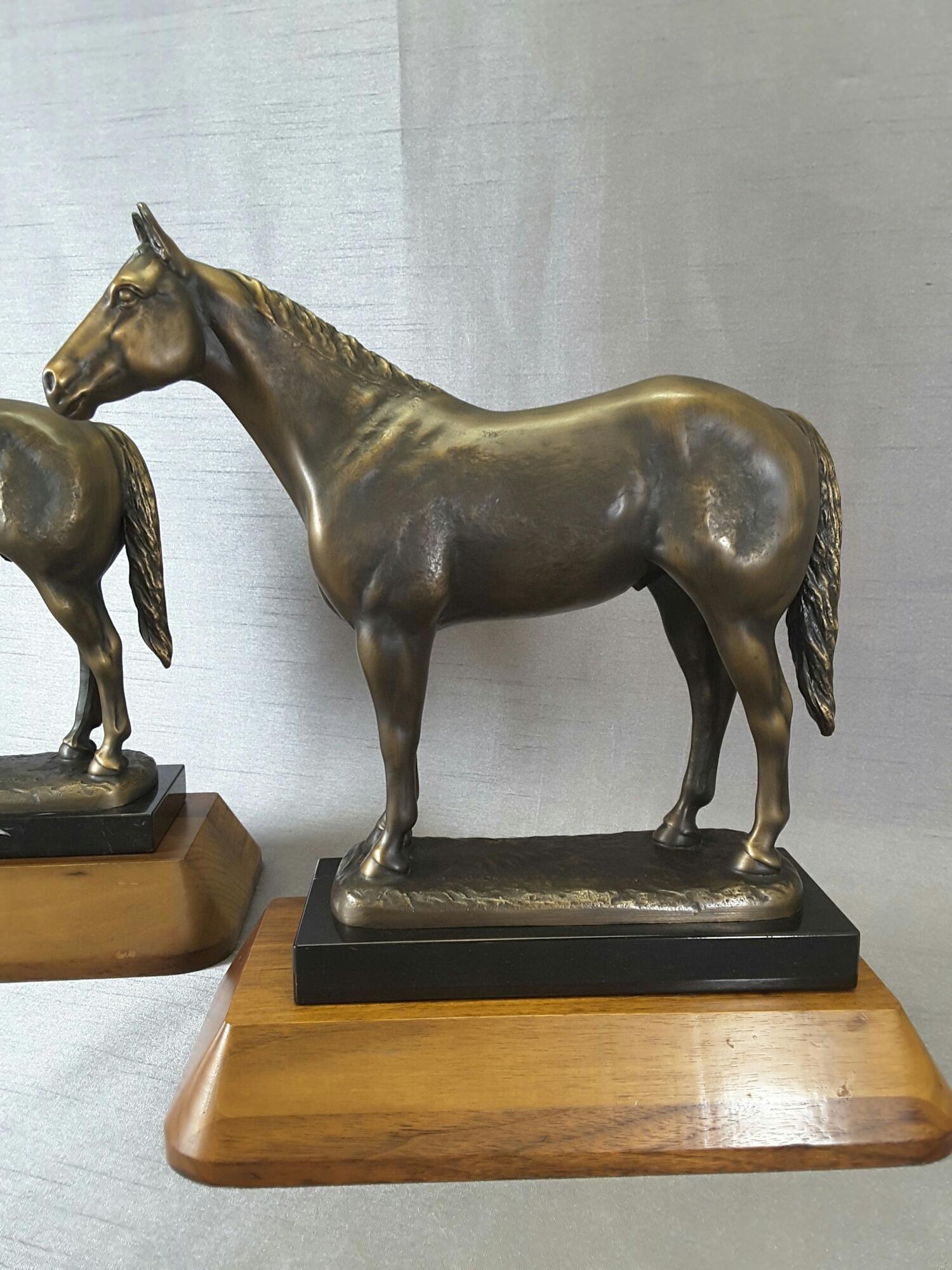 Pair of signed and dated solid bronze American quarter horses on marble and walnut bases, for the American quarter horse association, by Suzanne Fielder, dated 1984. The horses measure 12.00