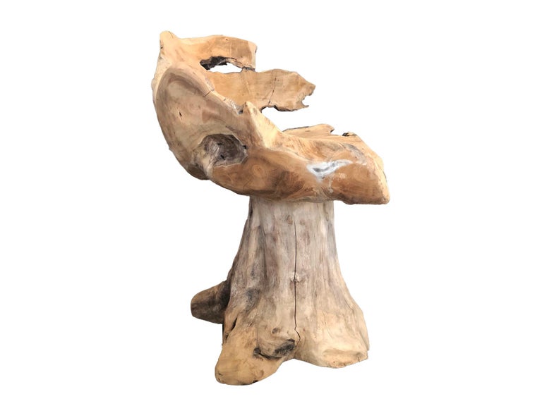 Pair of Solid Teak Root Chairs at 1stDibs