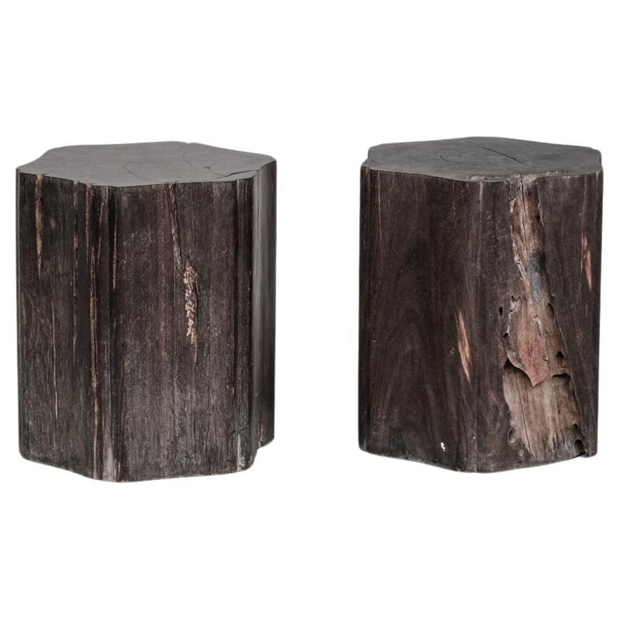 Paire de tables d'appoint Primitive Belgique en bois massif en vente