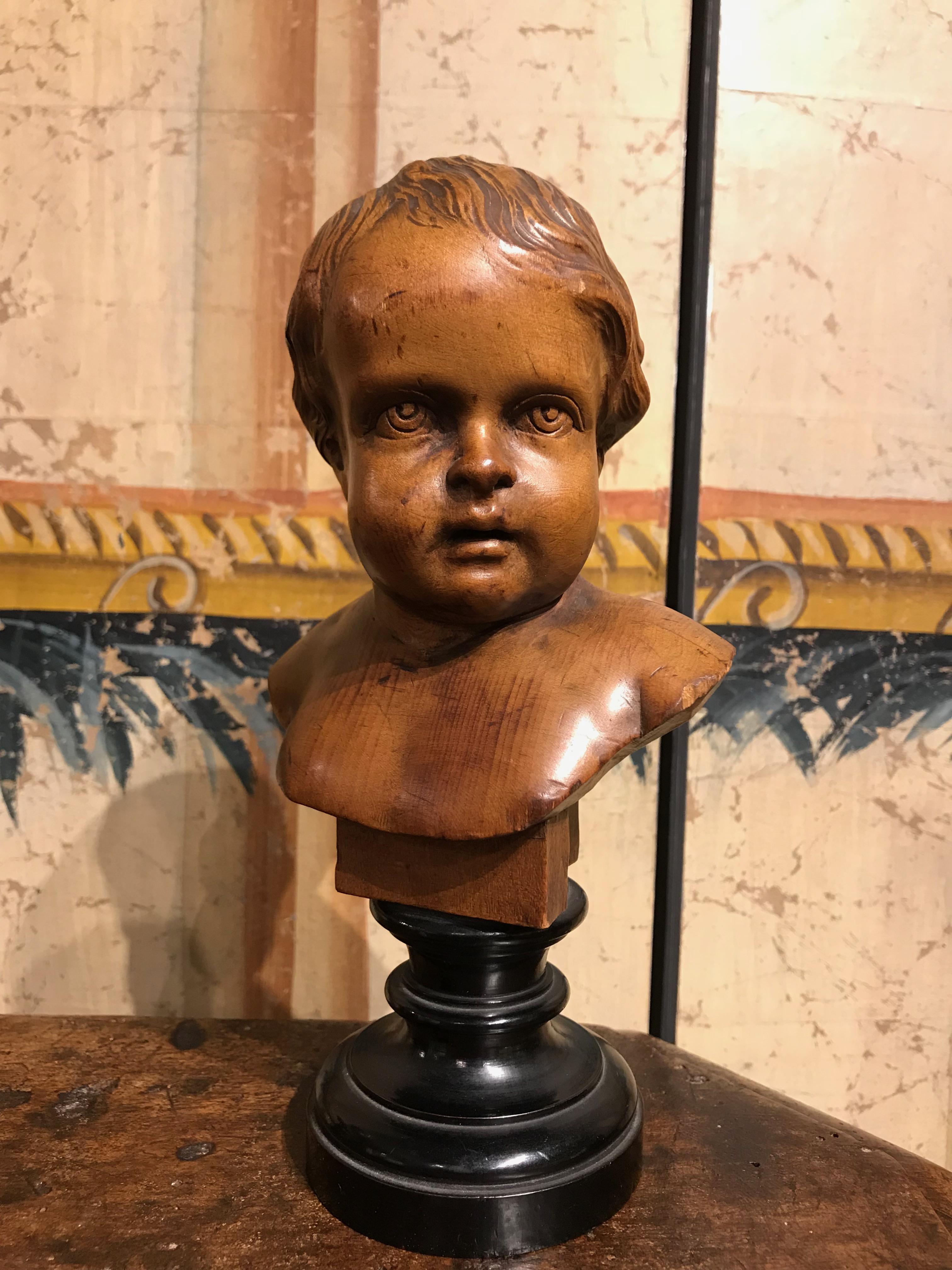A fine pair of carved fruit wood busts of young boys, or putti, South Germany, late 19th century. The realistically carved faces showing distinct personalities and intense gazes. Mounted on neoclassical style ebonized socle bases. A wonderful and