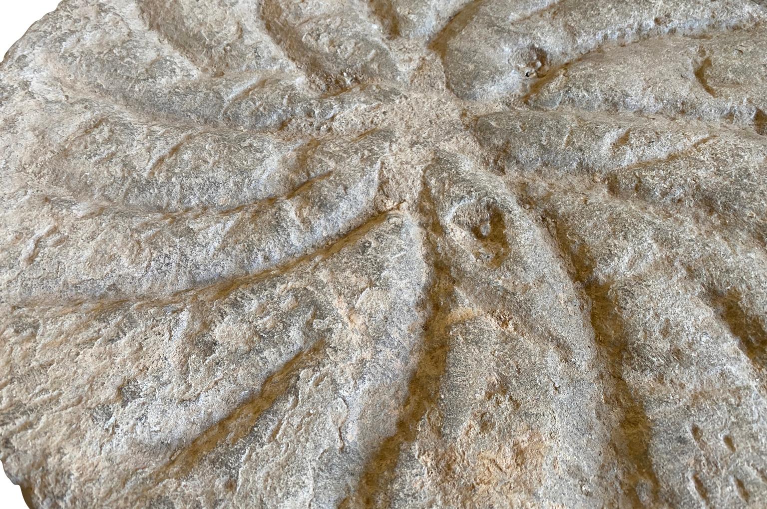 Coppia di cippi spagnoli del XVI secolo in vendita 5