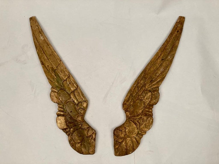 Pair of Spanish Colonial Carved Giltwood Angel Wings at 1stDibs
