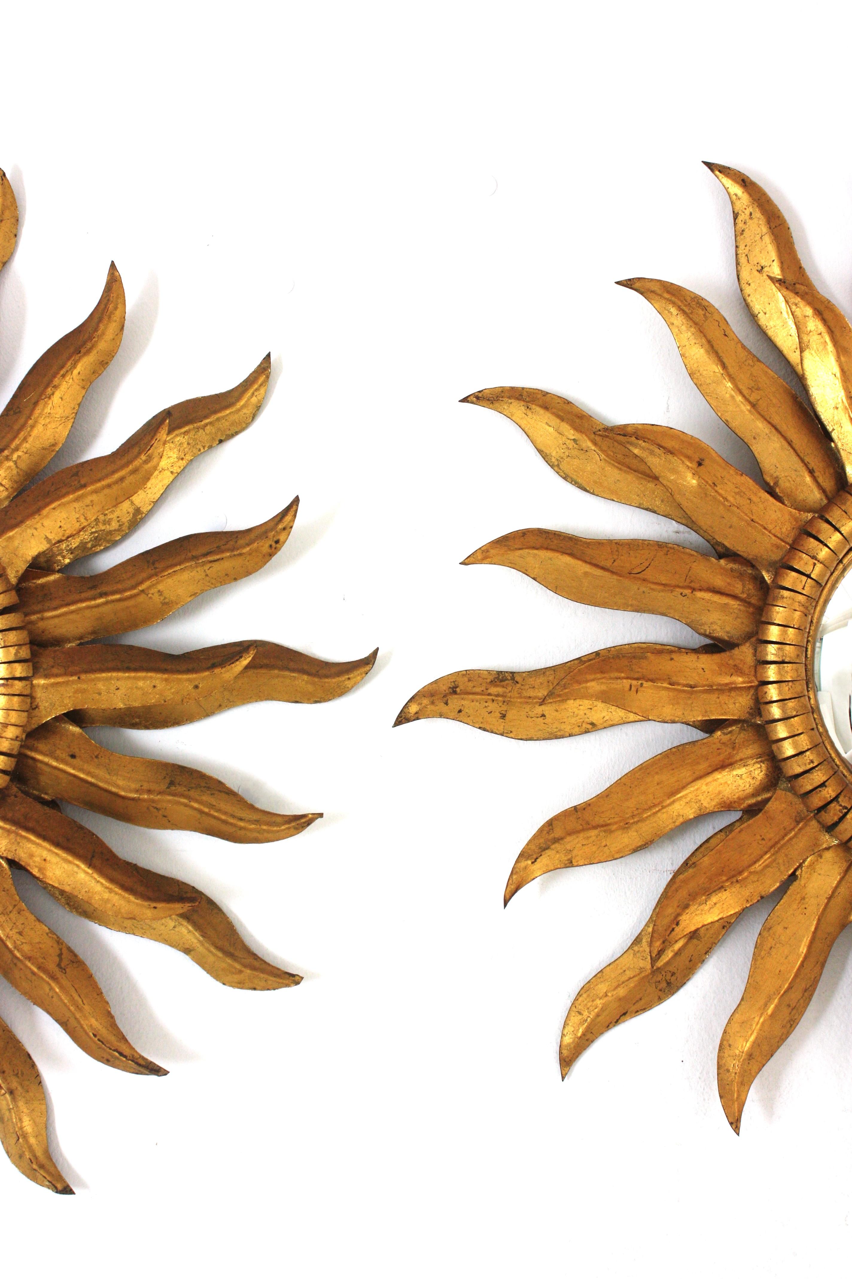 Pair of Spanish Double Layered Convex Sunburst Mirrors in Gilt Metal For Sale 3