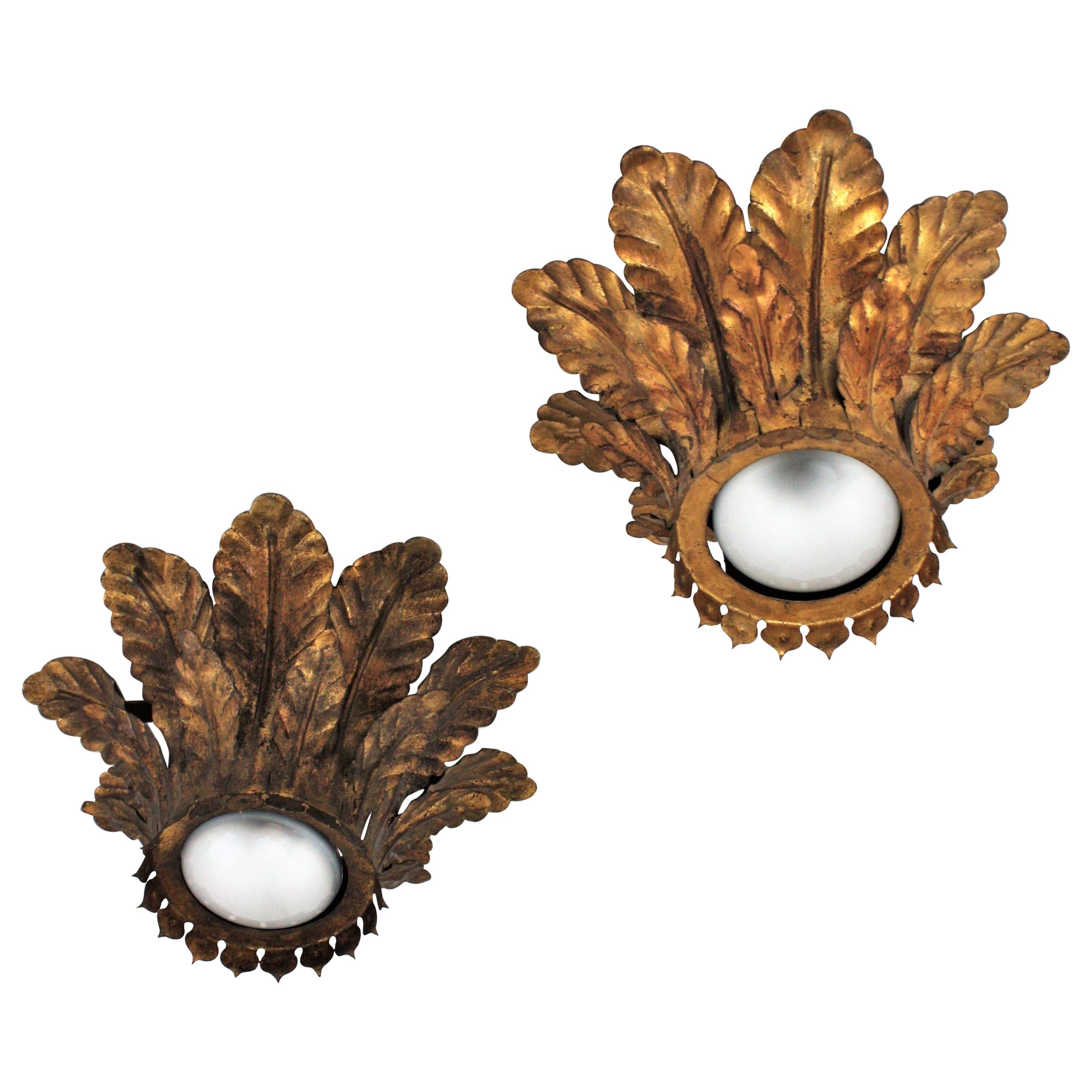Amazing pair of wrought gilt iron foliage sunburst flush mounts. Spain, 1950s.
These eye-catching flush mounts feature crown shaped sunburst light fixtures made of two layers of iron leaves surrounding a central light with an exposed bulb. They have