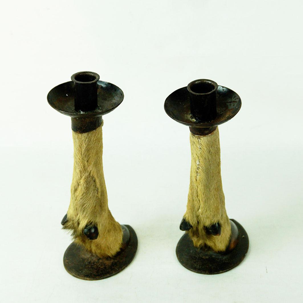 Paar spanische Ziegenhoof-Kerzenständer aus der Mitte des Jahrhunderts aus Mallorca (Ziegenhaar) im Angebot