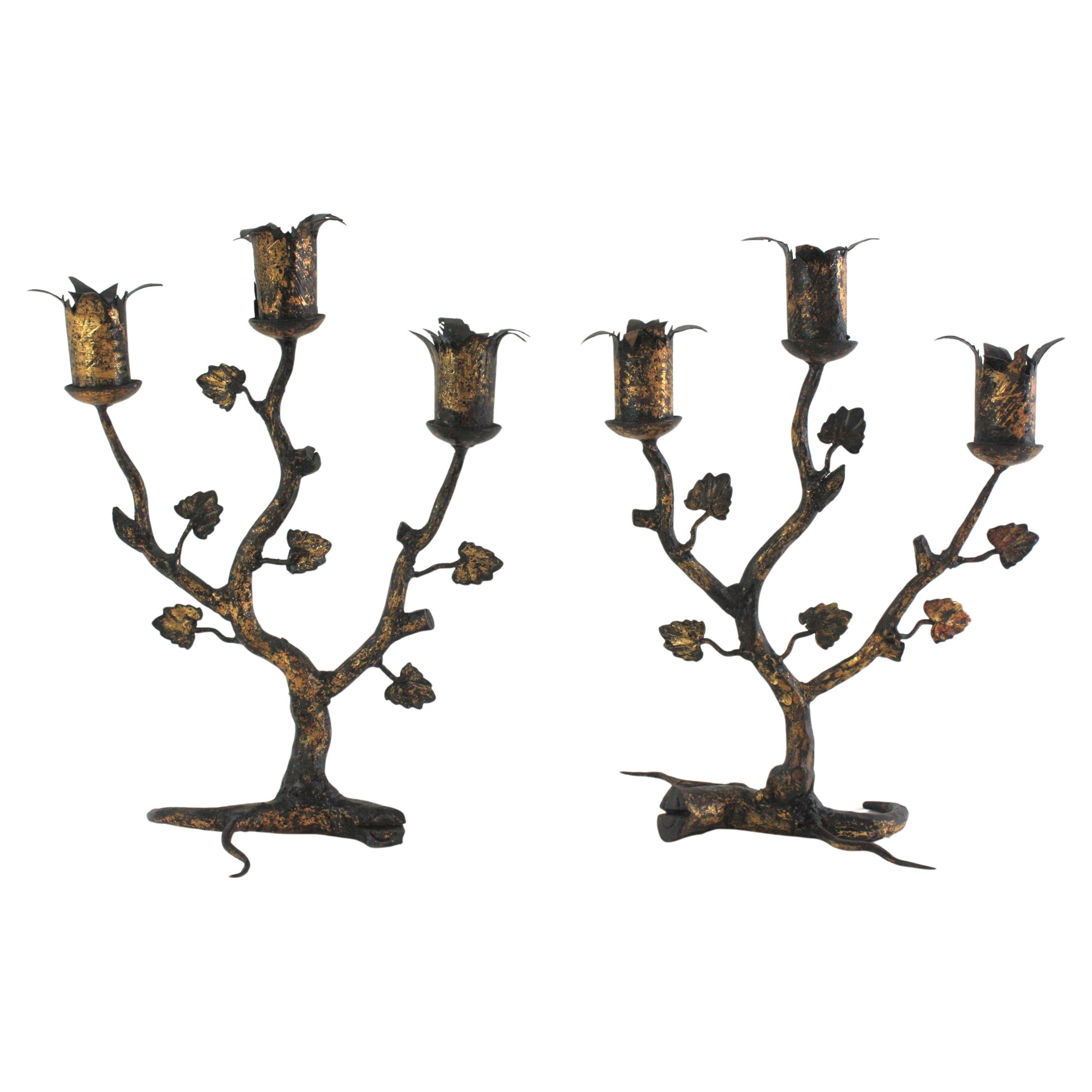 Pair of Spanish Naturalistic Candle Holders in Gilt Wrought Iron, 1940s For Sale 12