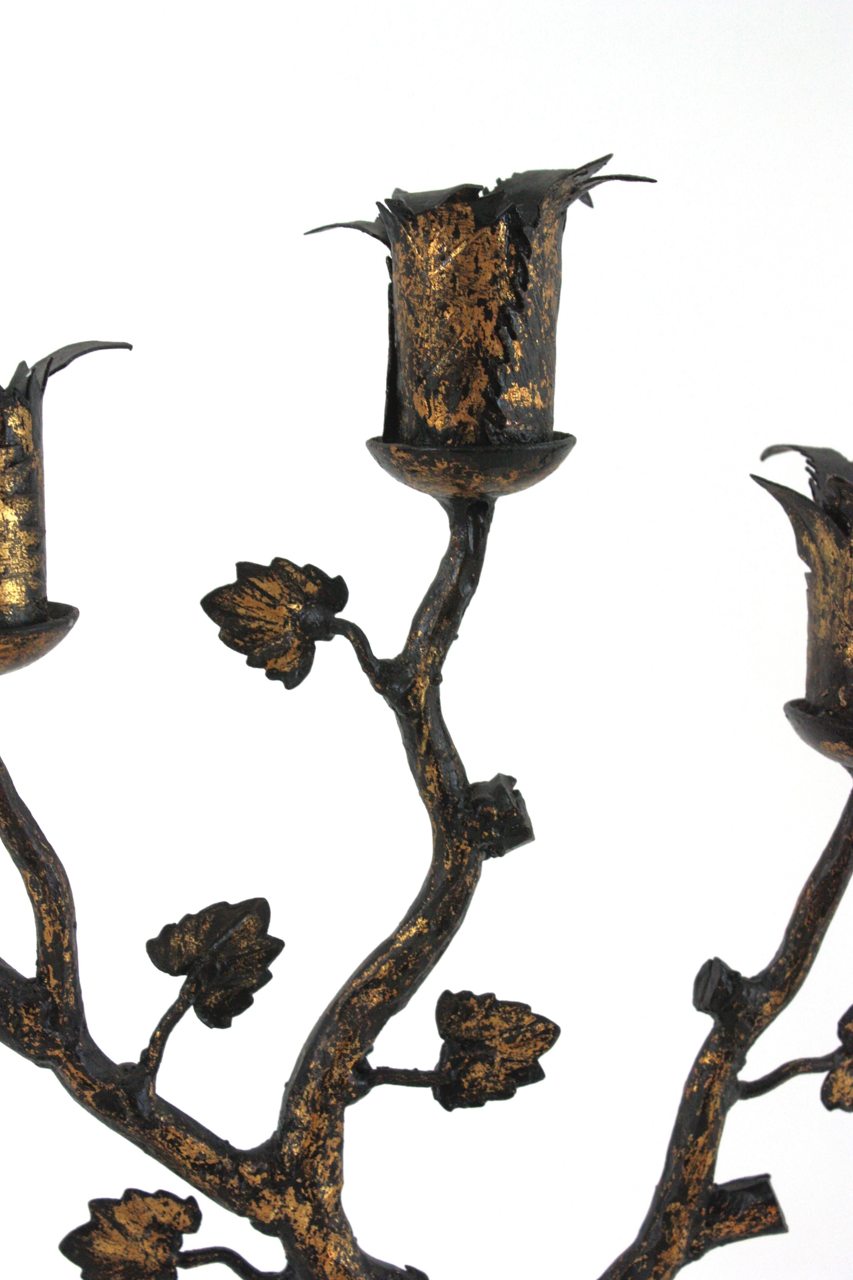 Pair of Spanish Naturalistic Candle Holders in Gilt Wrought Iron, 1940s For Sale 1
