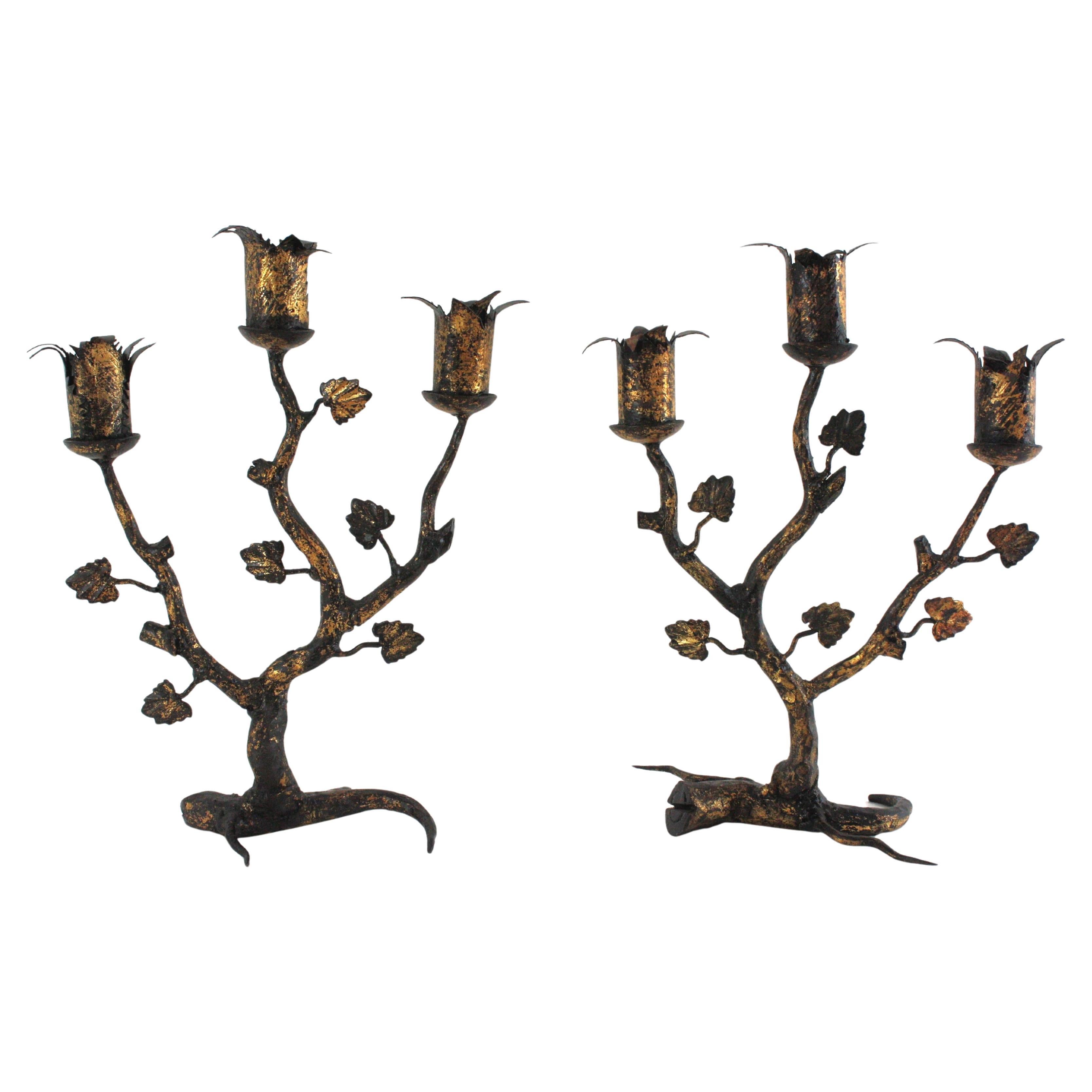 Pair of Spanish Naturalistic Candle Holders in Gilt Wrought Iron, 1940s For Sale