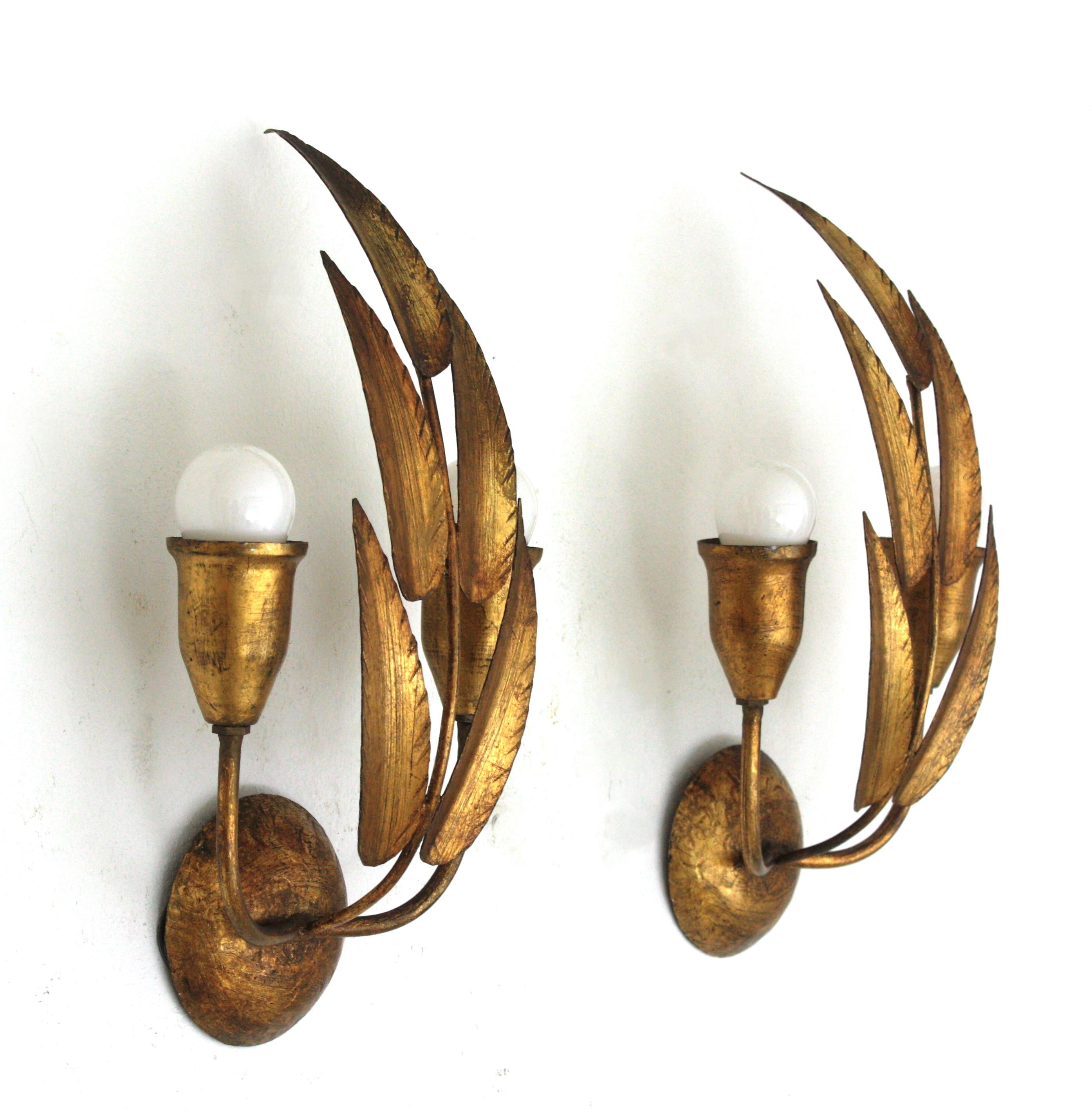 Pair of Spanish Wall Sconces with Foliage Design, Gilt Iron 4