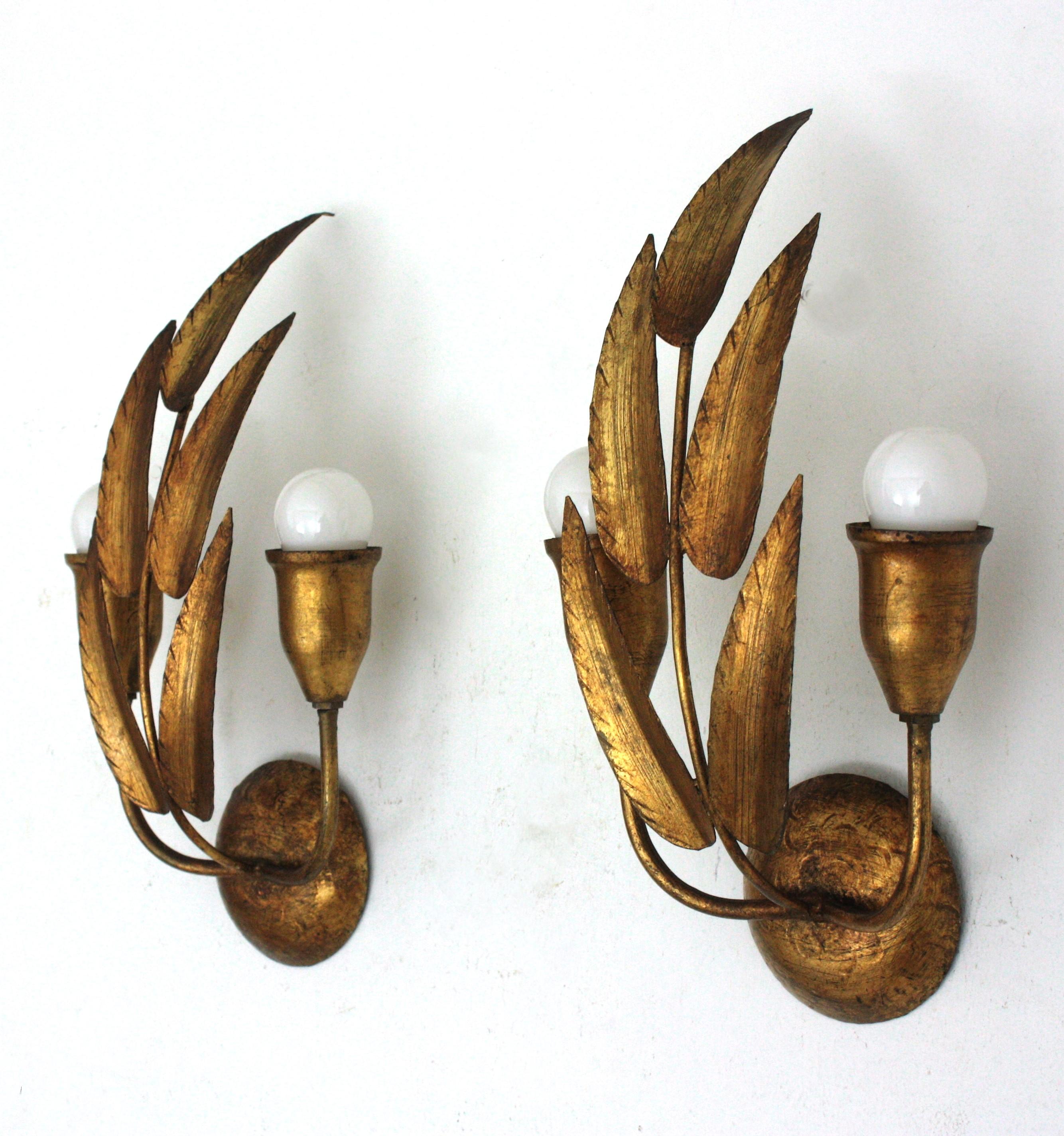 Pair of Spanish Wall Sconces with Foliage Design, Gilt Iron 5