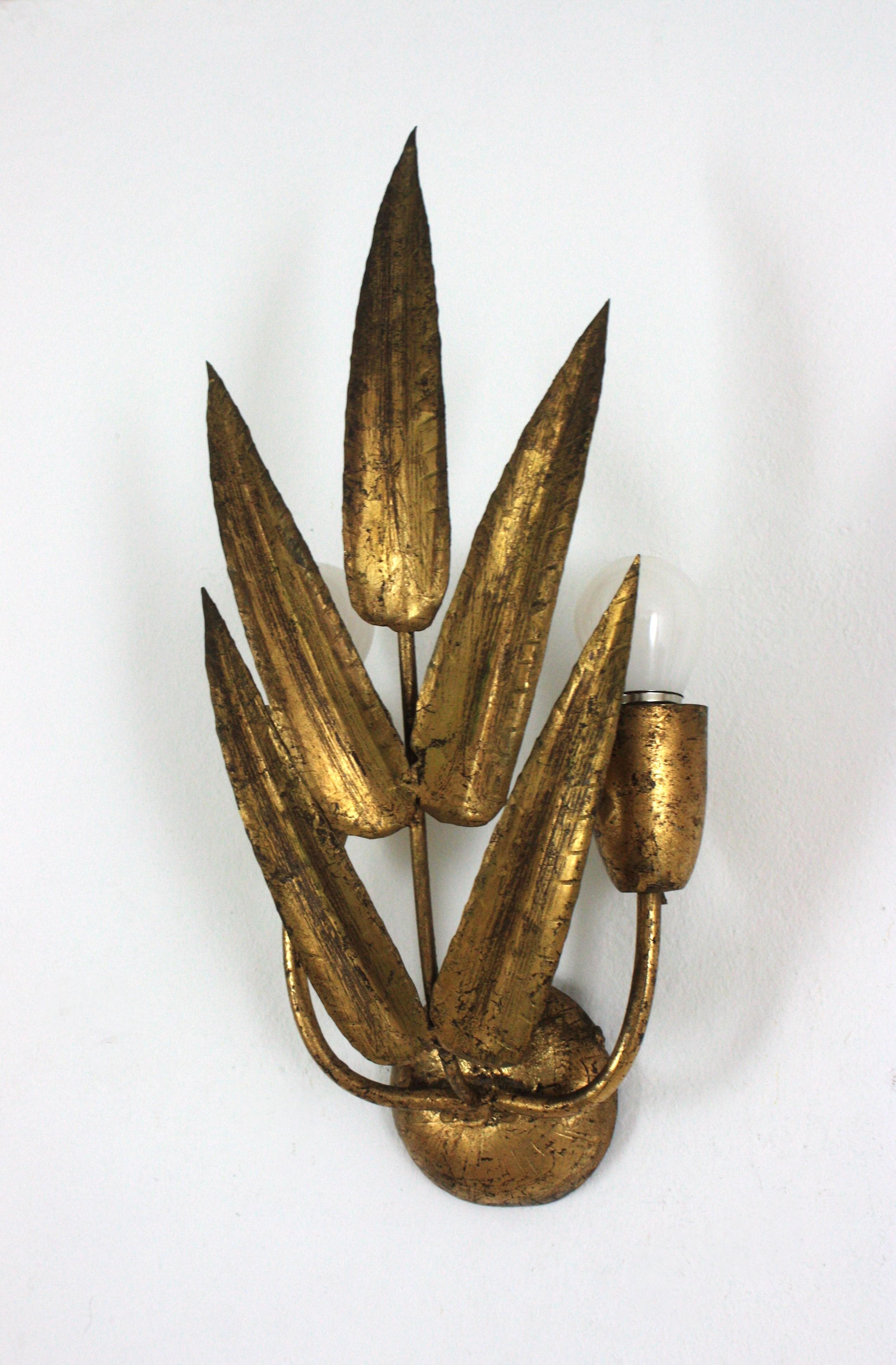 Pareja de Apliques Españoles con Diseño de Follaje, Hierro Dorado en venta 5