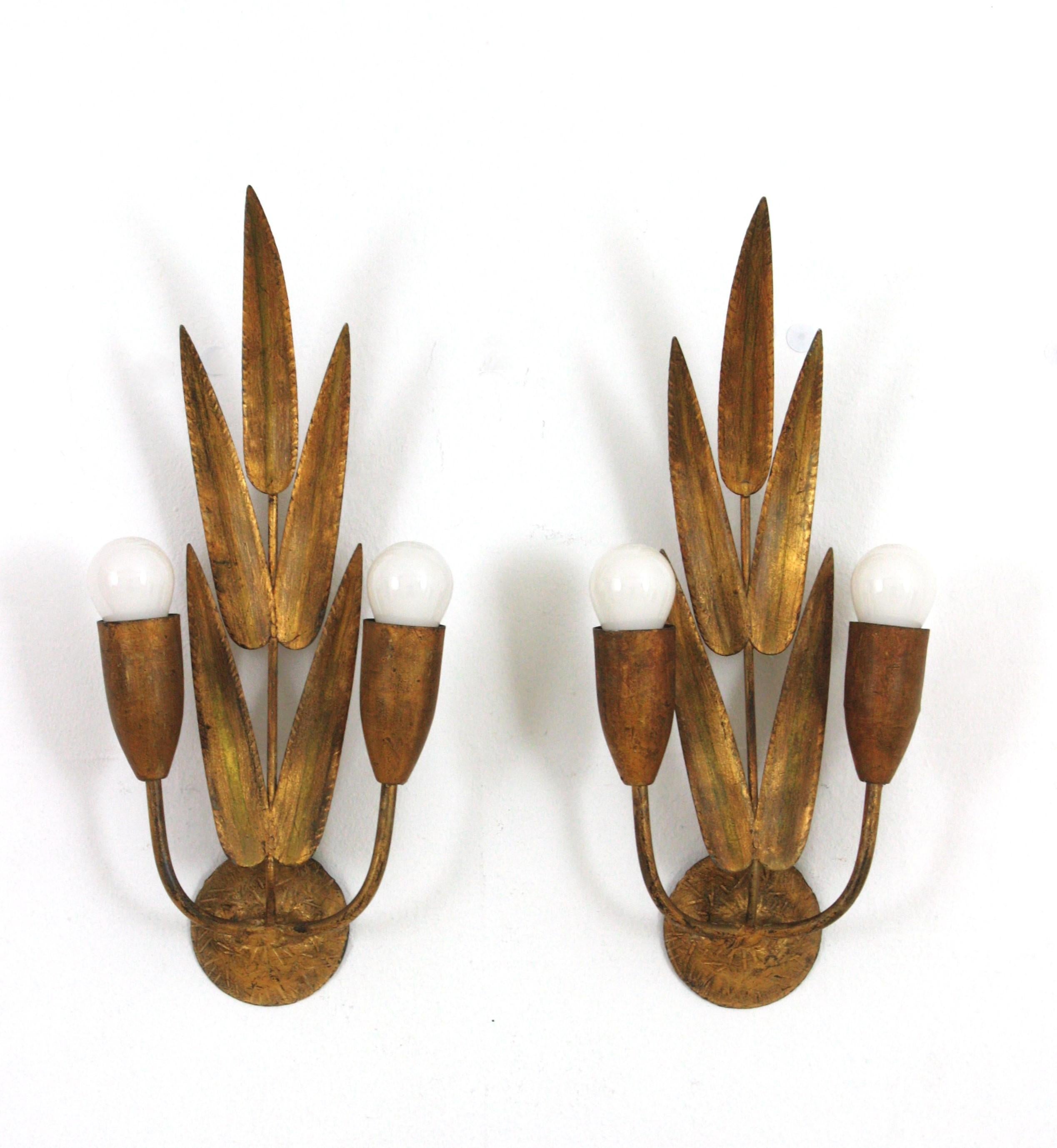 Pair of Spanish Wall Sconces with Foliage Design, Gilt Iron 6