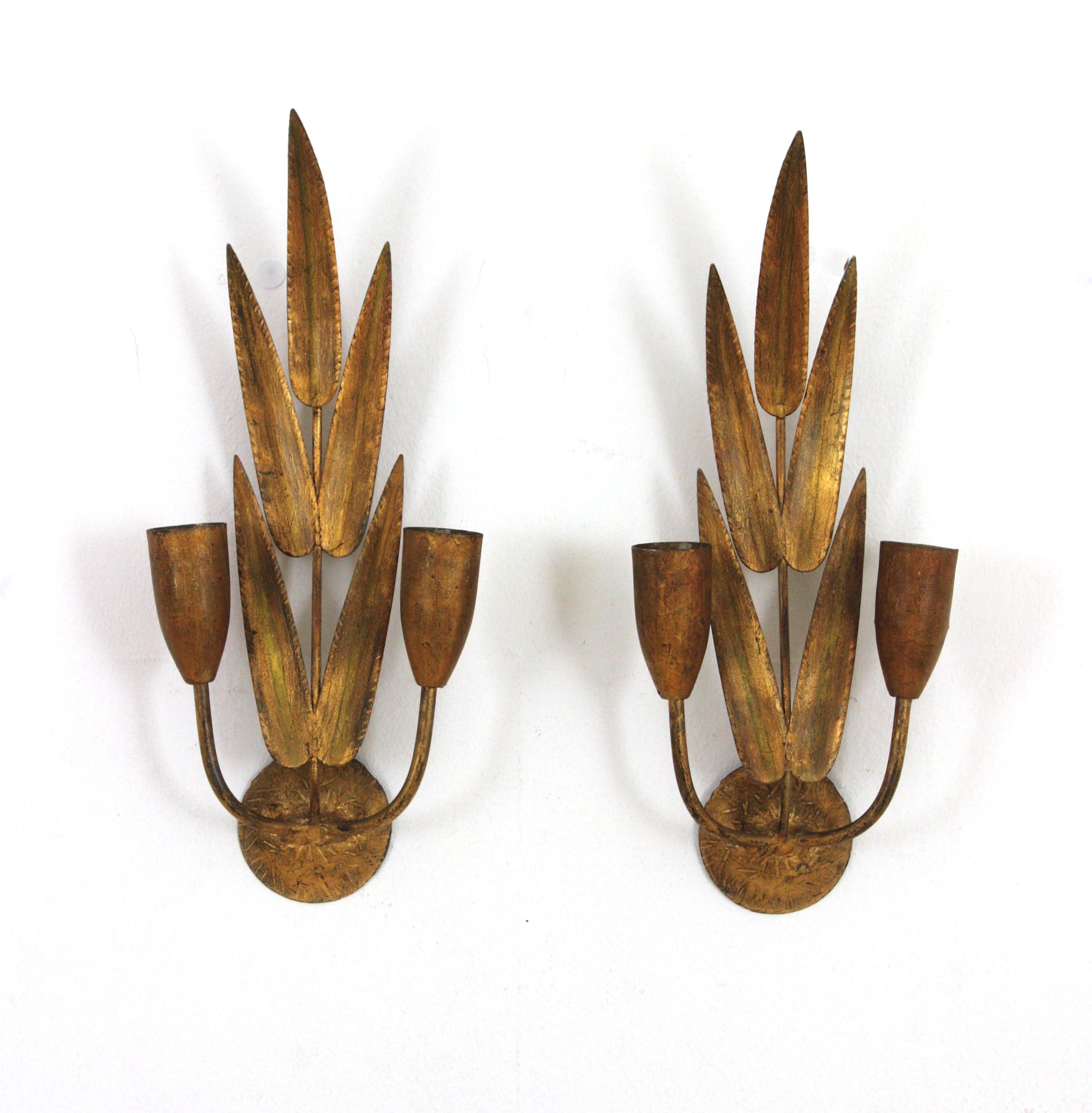 Pair of Spanish Wall Sconces with Foliage Design, Gilt Iron 7