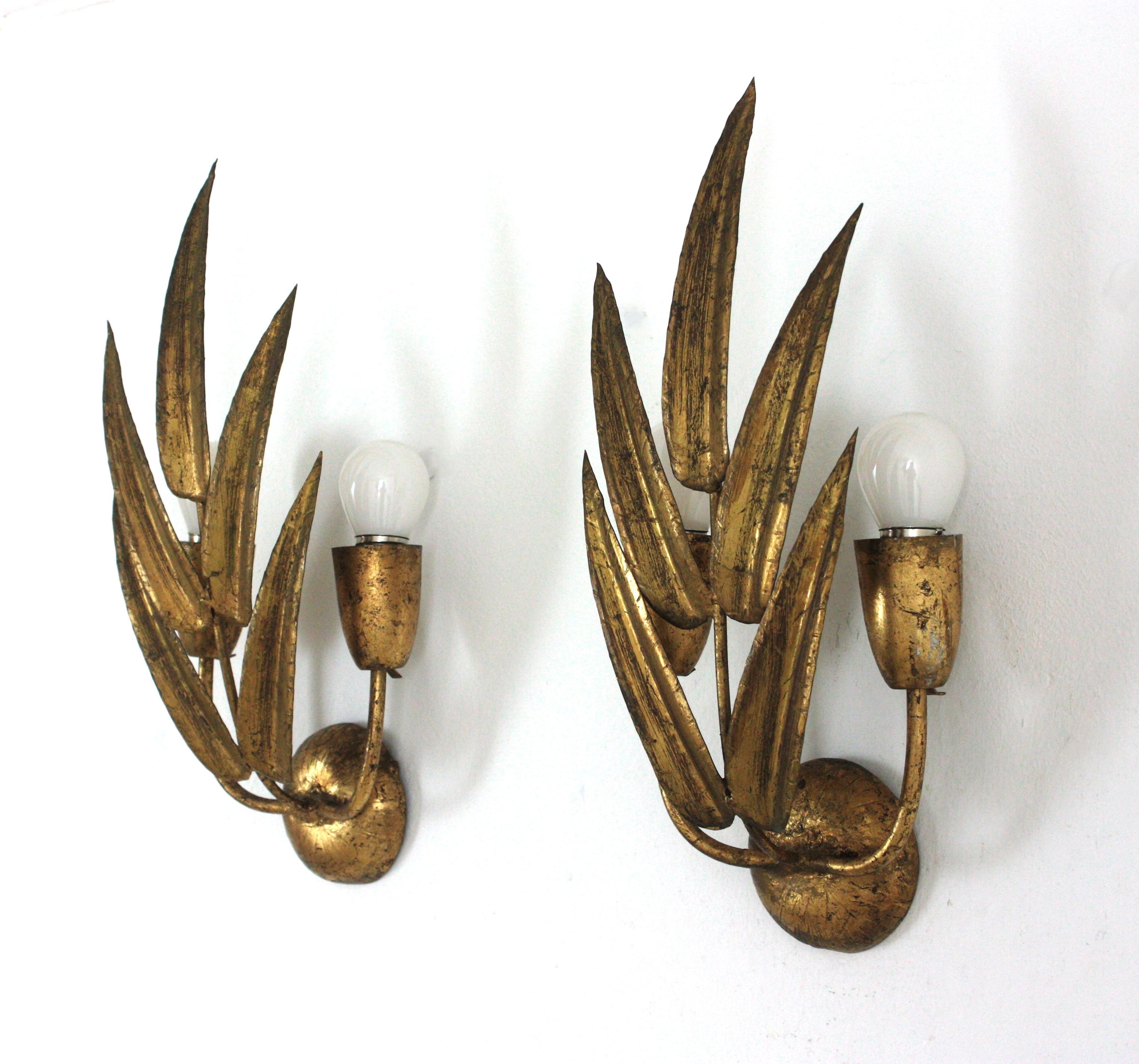 Pareja de Apliques Españoles con Diseño de Follaje, Hierro Dorado en venta 9