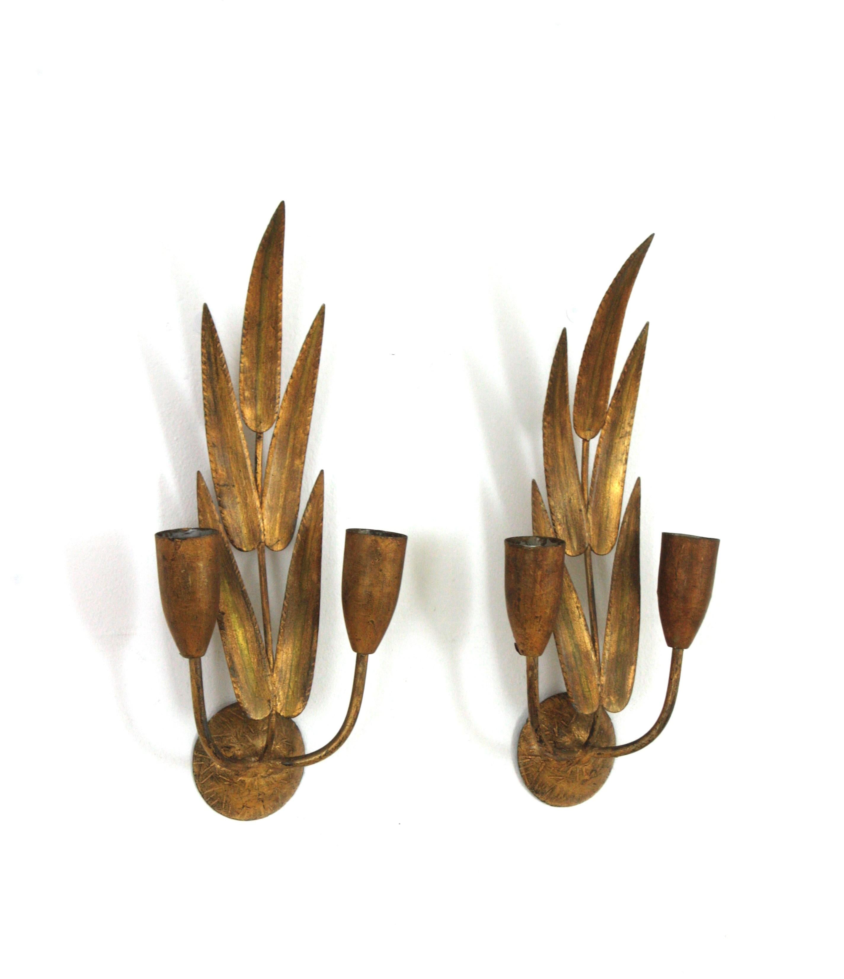Pair of Spanish Wall Sconces with Foliage Design, Gilt Iron 9