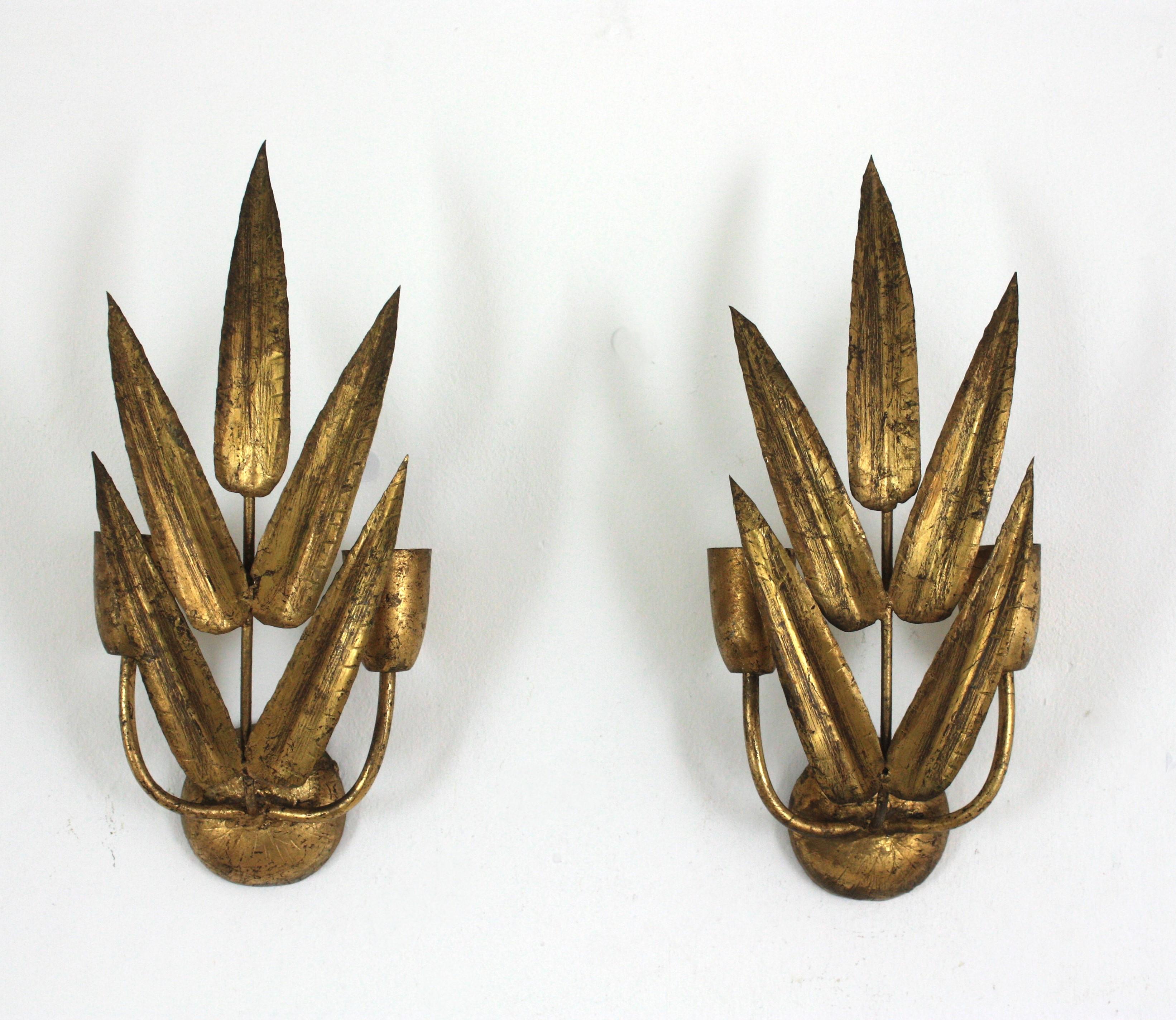 Pareja de Apliques Españoles con Diseño de Follaje, Hierro Dorado en venta 12