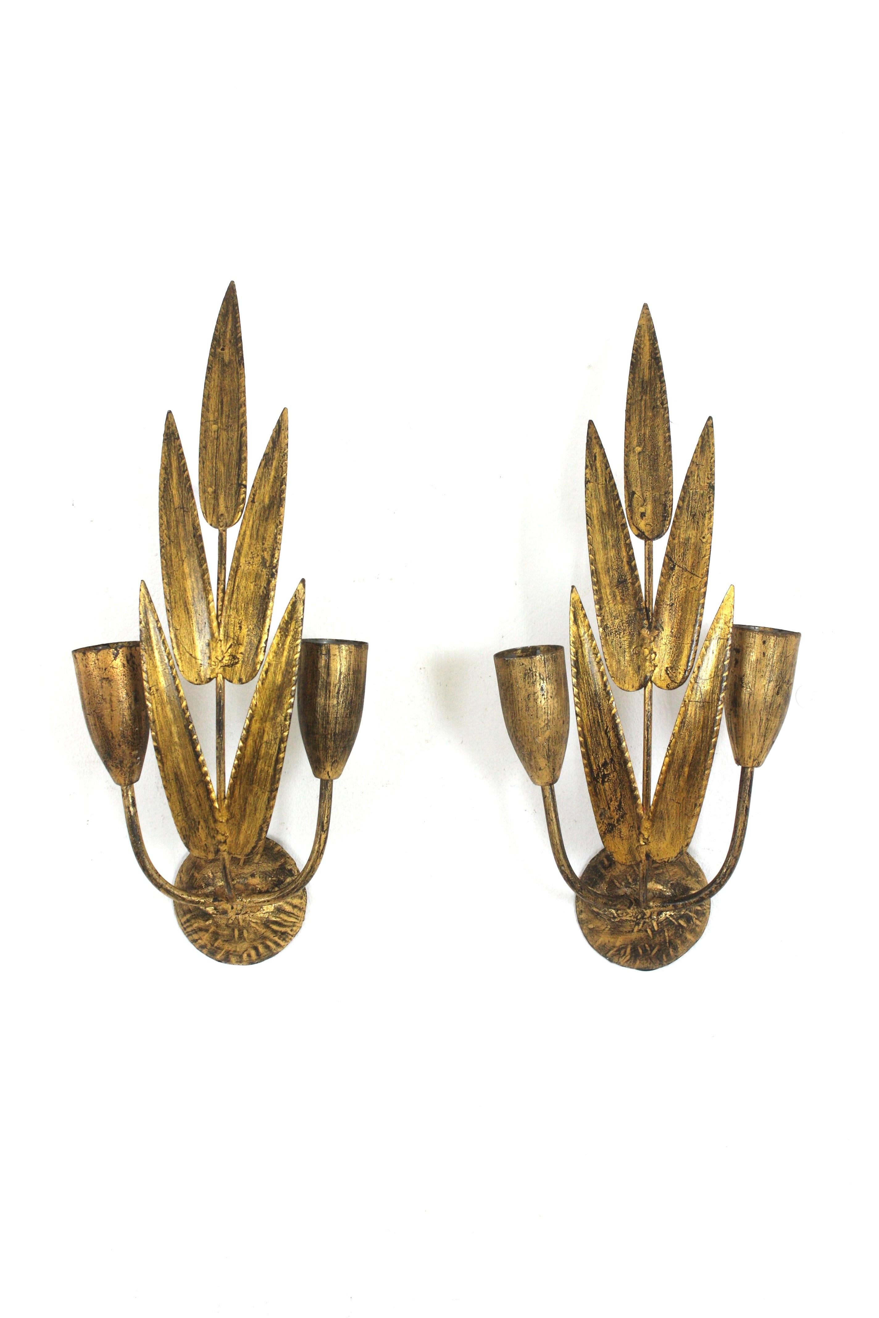 Pair of Spanish Wall Sconces with Foliage Design, Gilt Iron 13