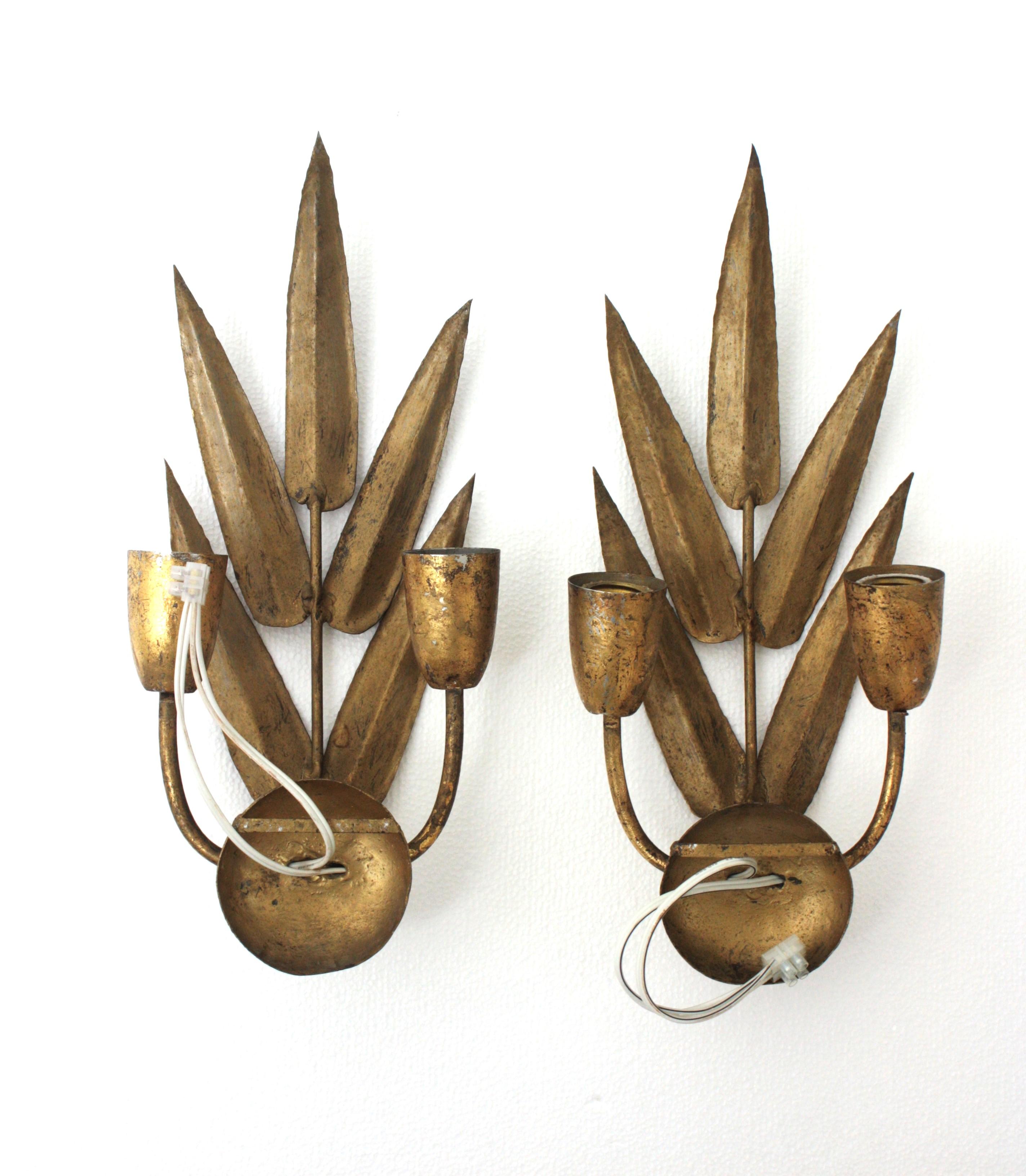 Pareja de Apliques Españoles con Diseño de Follaje, Hierro Dorado en venta 13
