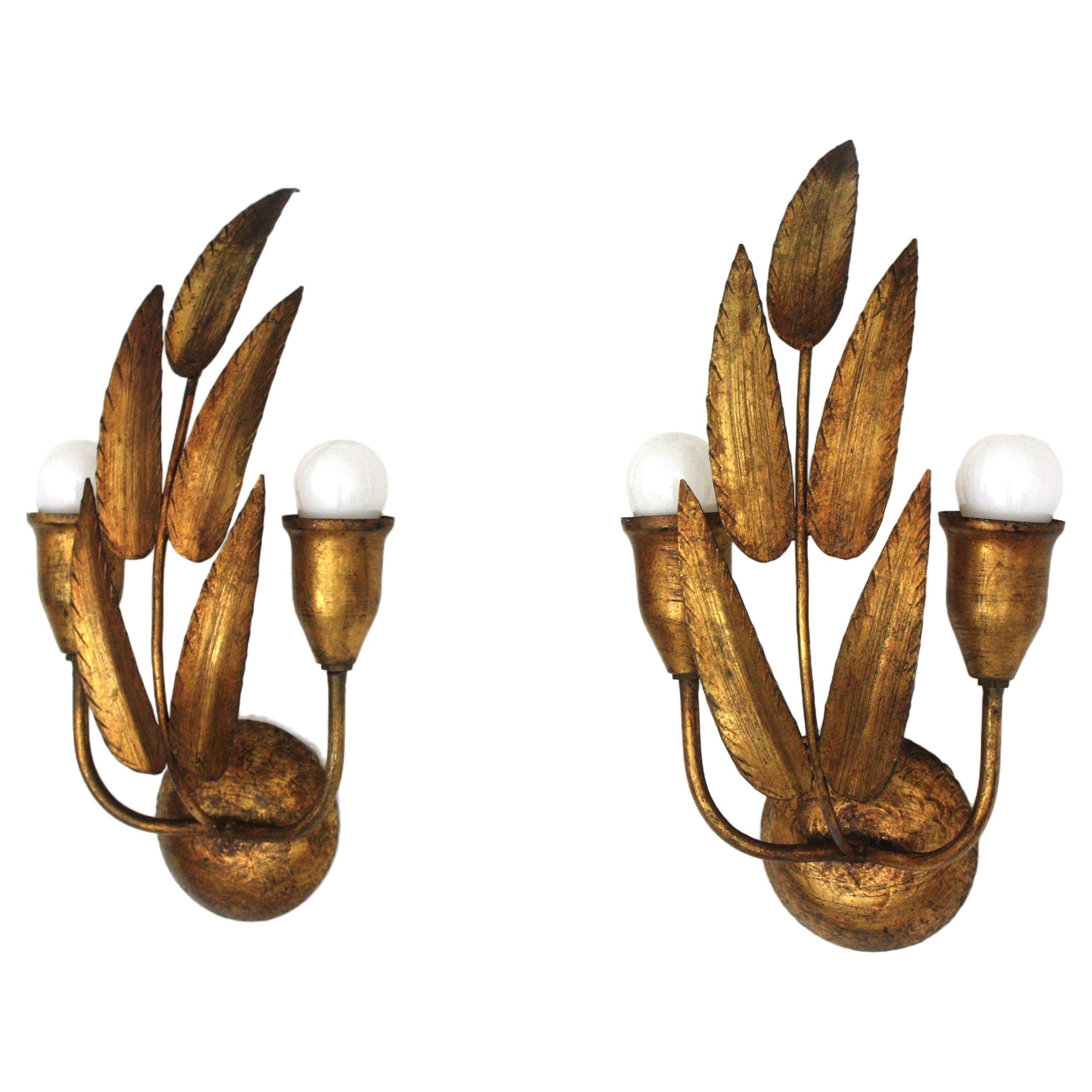 Eye-catching Pair of Hollywood Regency Gilt Metal Leaves Wall Lights . Manufactured by Ferro Art. Spain, 1950s
These palmette wall sconces have a design of leaves holding two arms with one light each.
They will be a nice addition to any Midcentury,