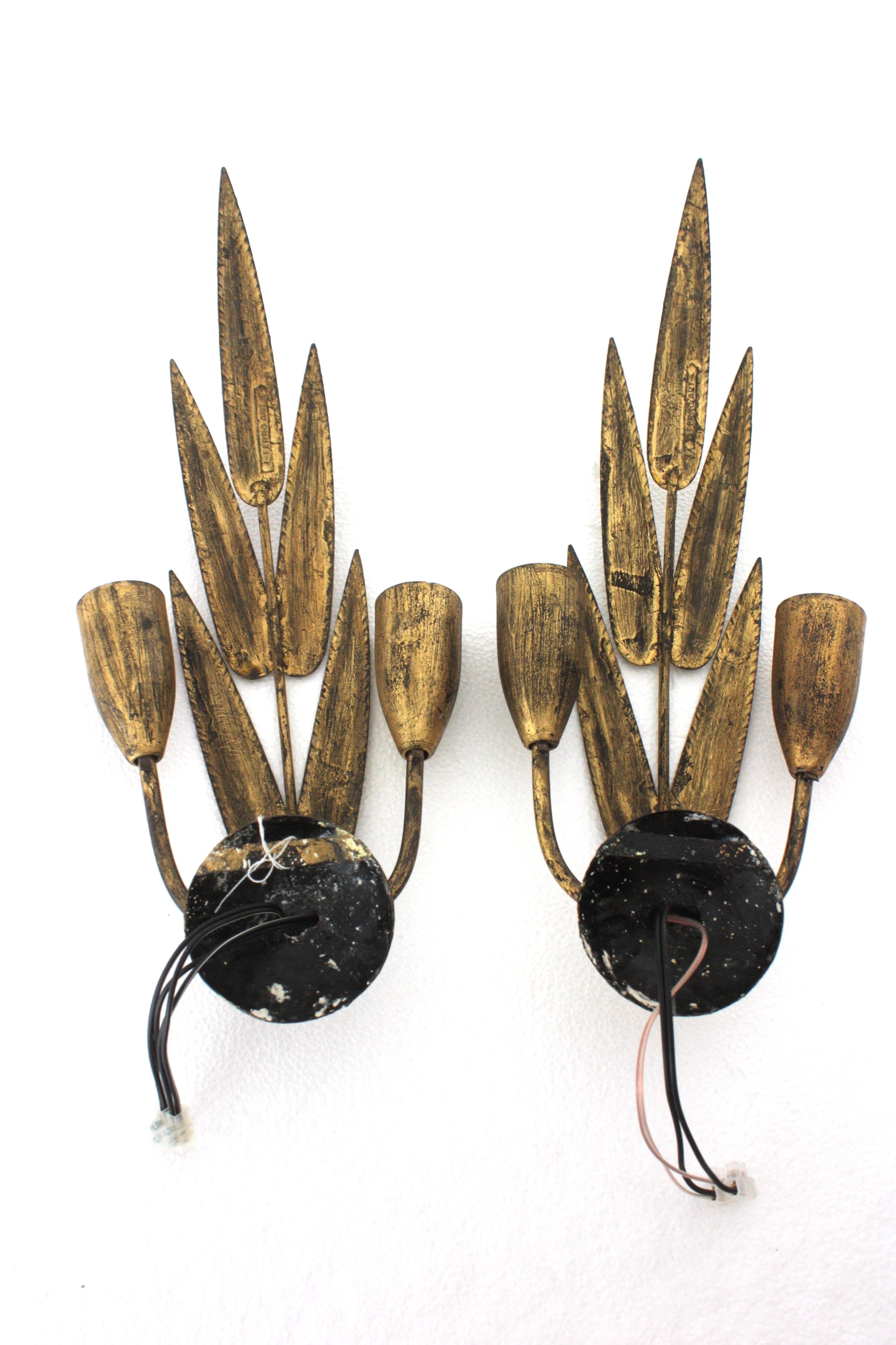 Pair of Spanish Wall Sconces with Foliage Design, Gilt Iron 14