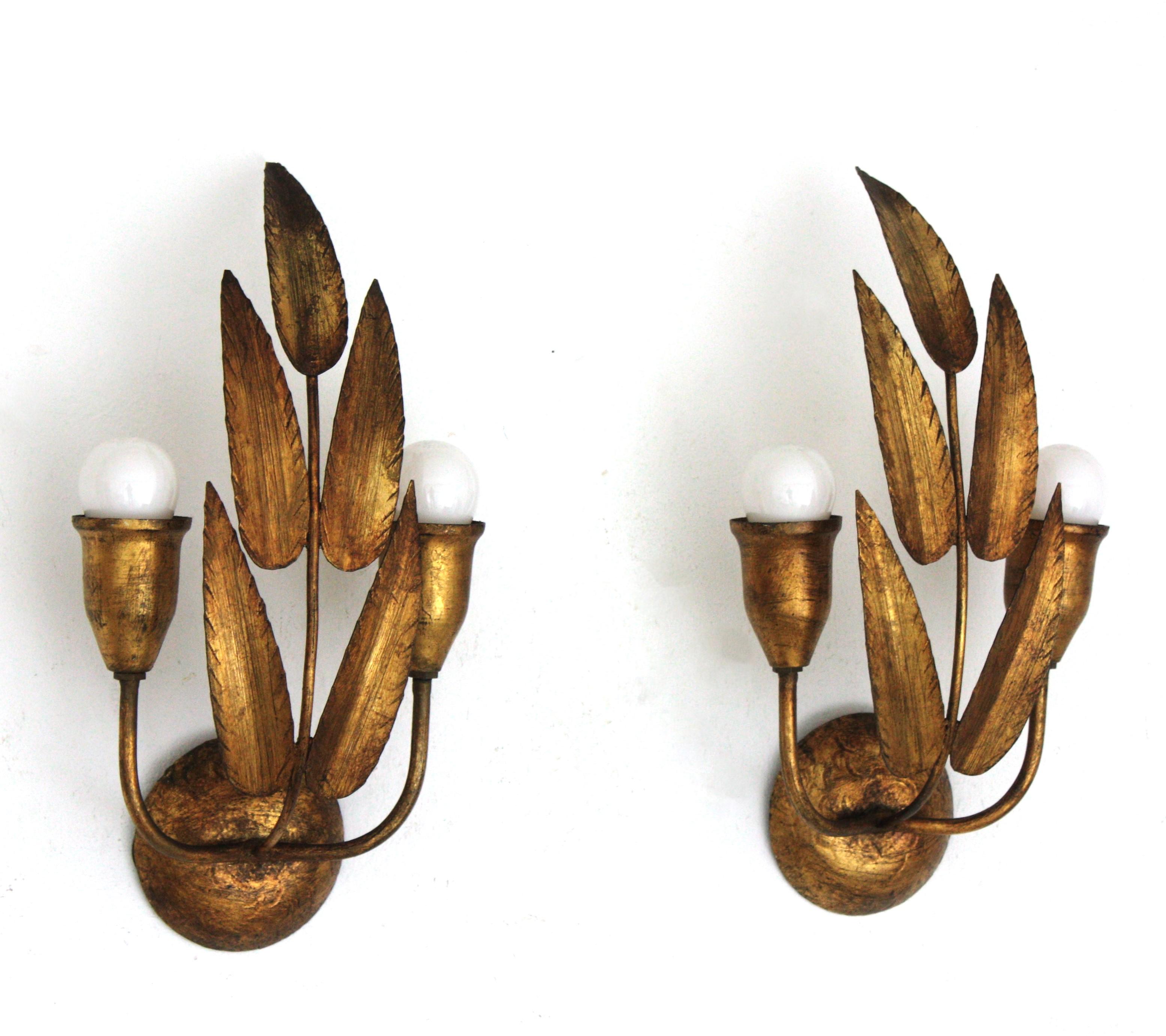 Hollywood Regency Pair of Spanish Wall Sconces with Foliage Design, Gilt Iron