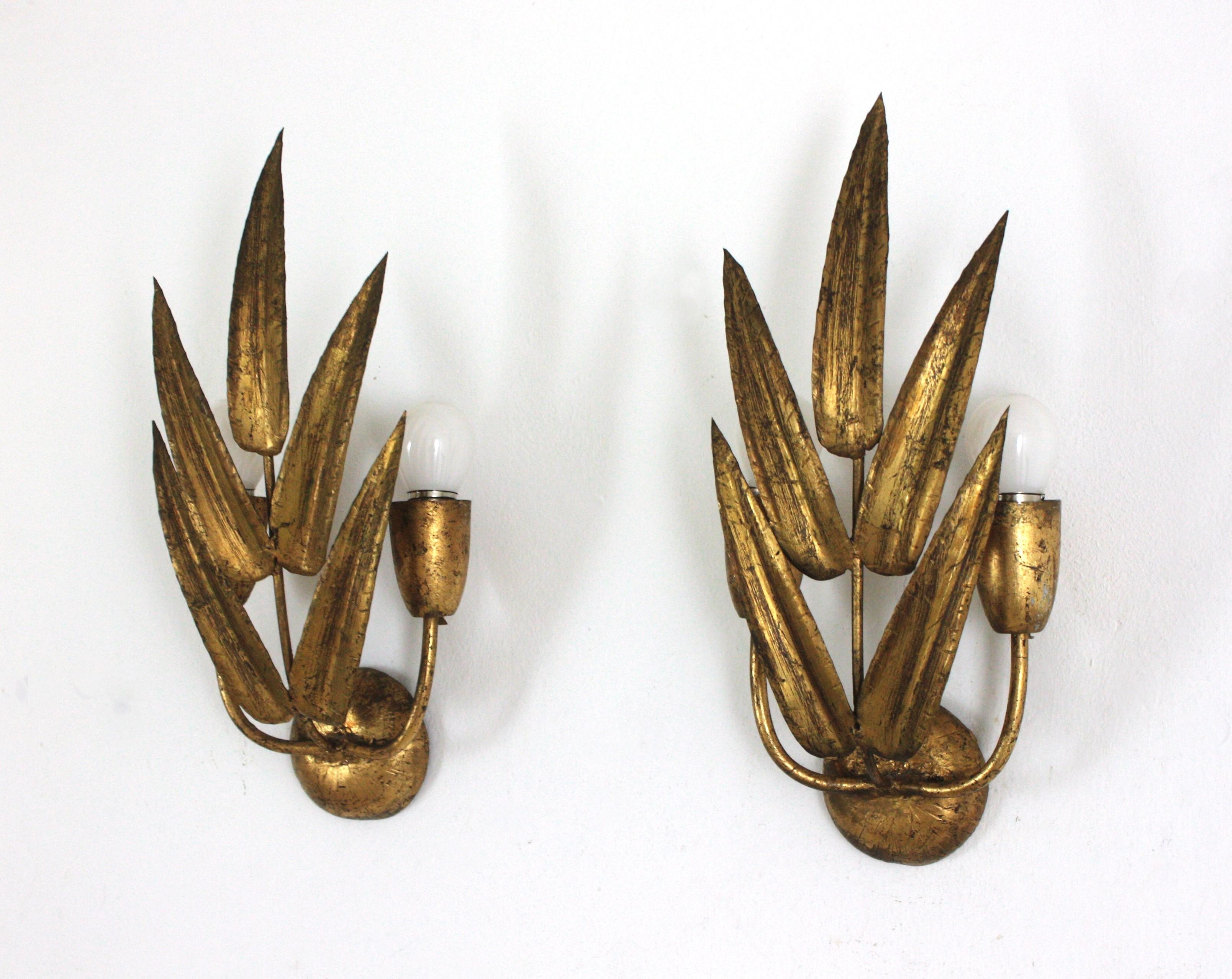 Pareja de Apliques Españoles con Diseño de Follaje, Hierro Dorado Regencia de Hollywood en venta