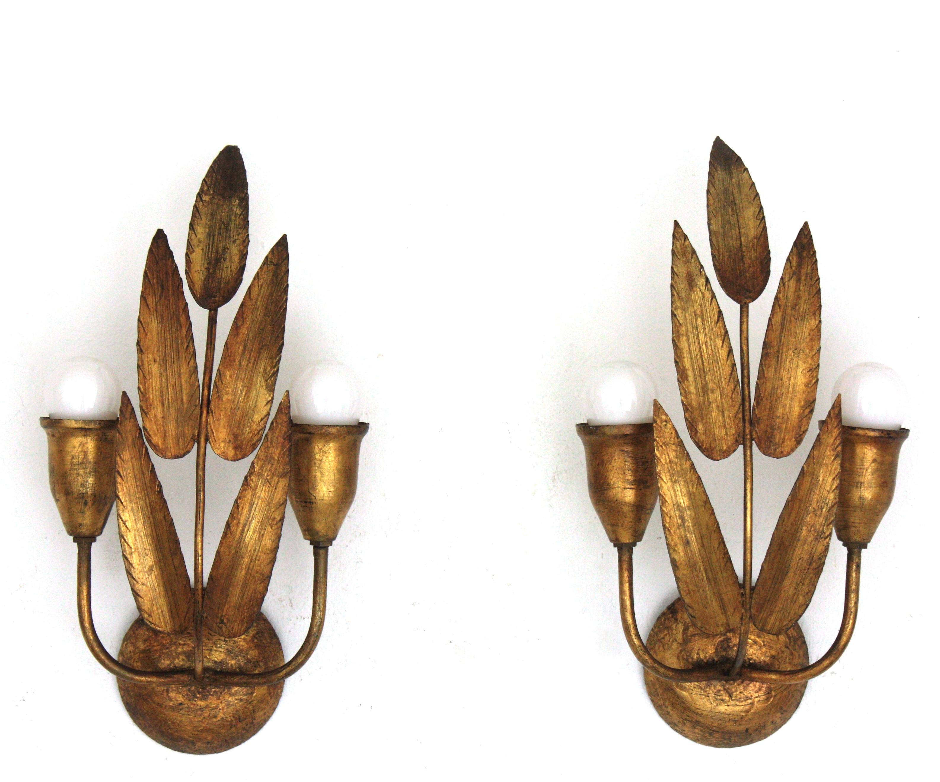 Pair of Spanish Wall Sconces with Foliage Design, Gilt Iron In Good Condition In Barcelona, ES
