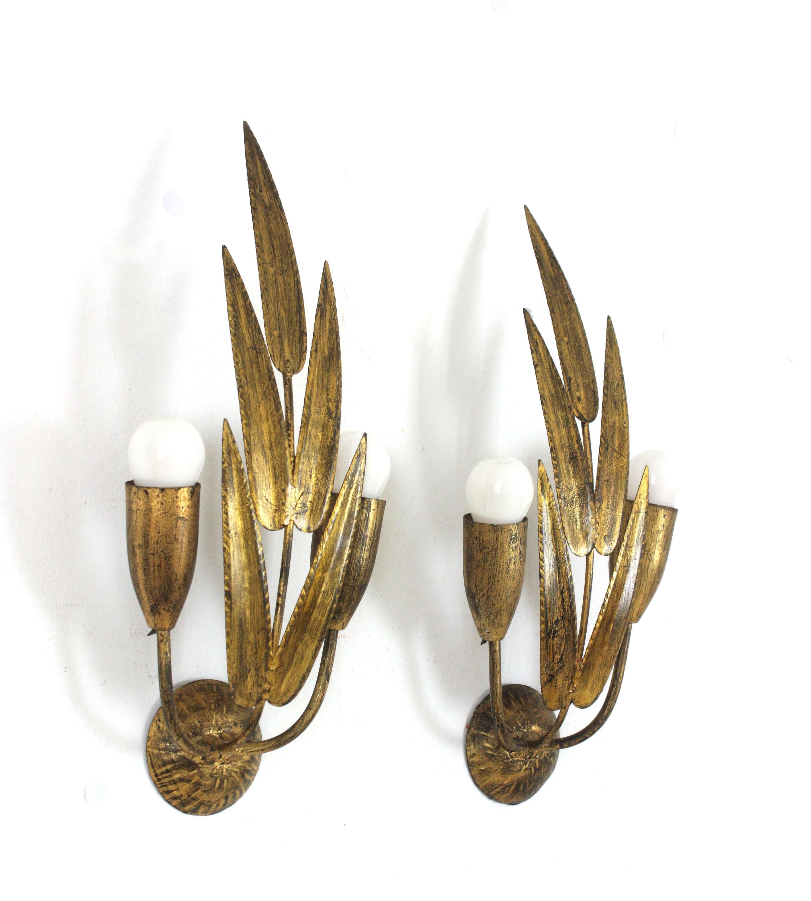 Pair of Spanish Wall Sconces with Foliage Design, Gilt Iron In Good Condition In Barcelona, ES