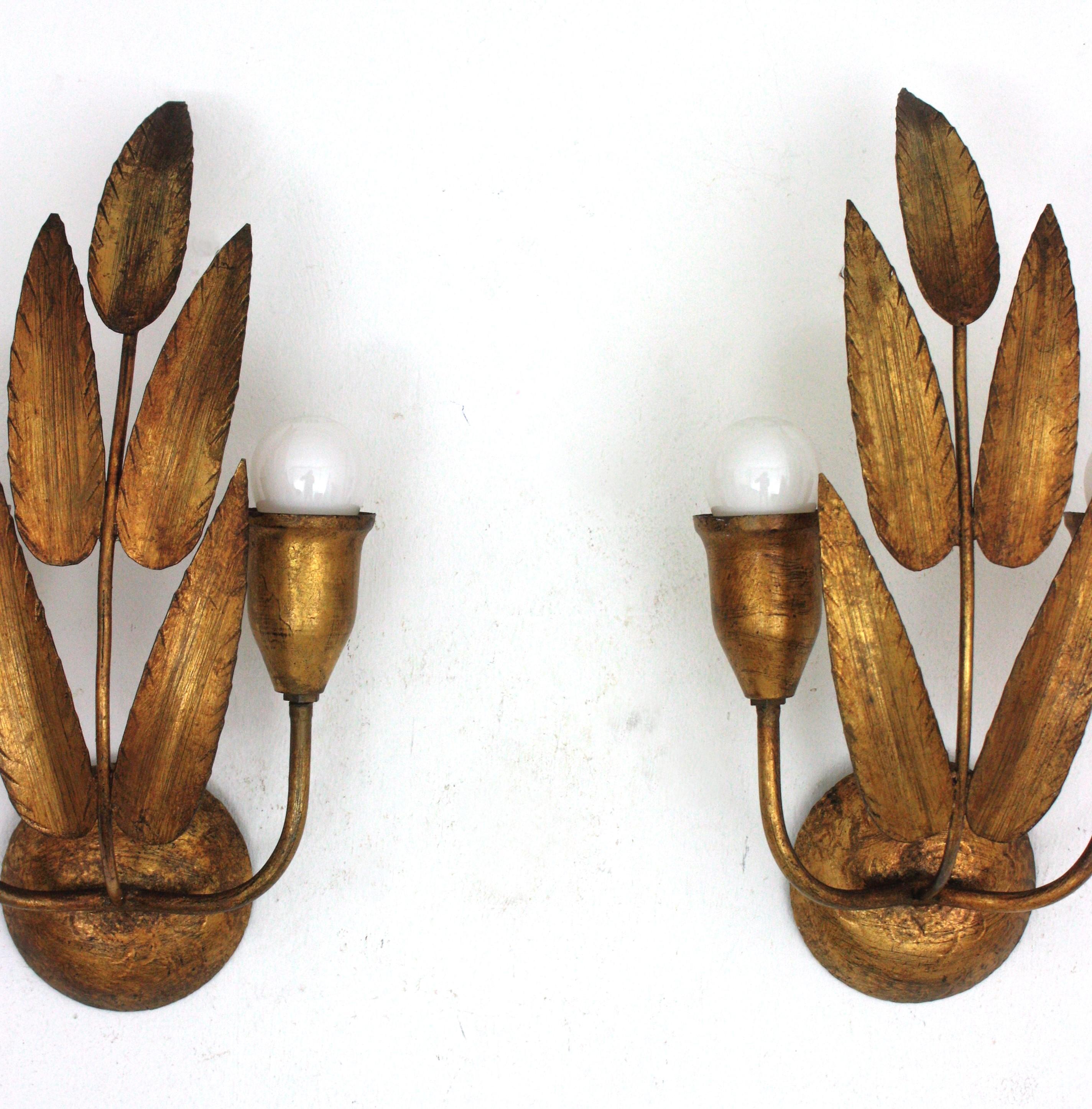 Metal Pair of Spanish Wall Sconces with Foliage Design, Gilt Iron