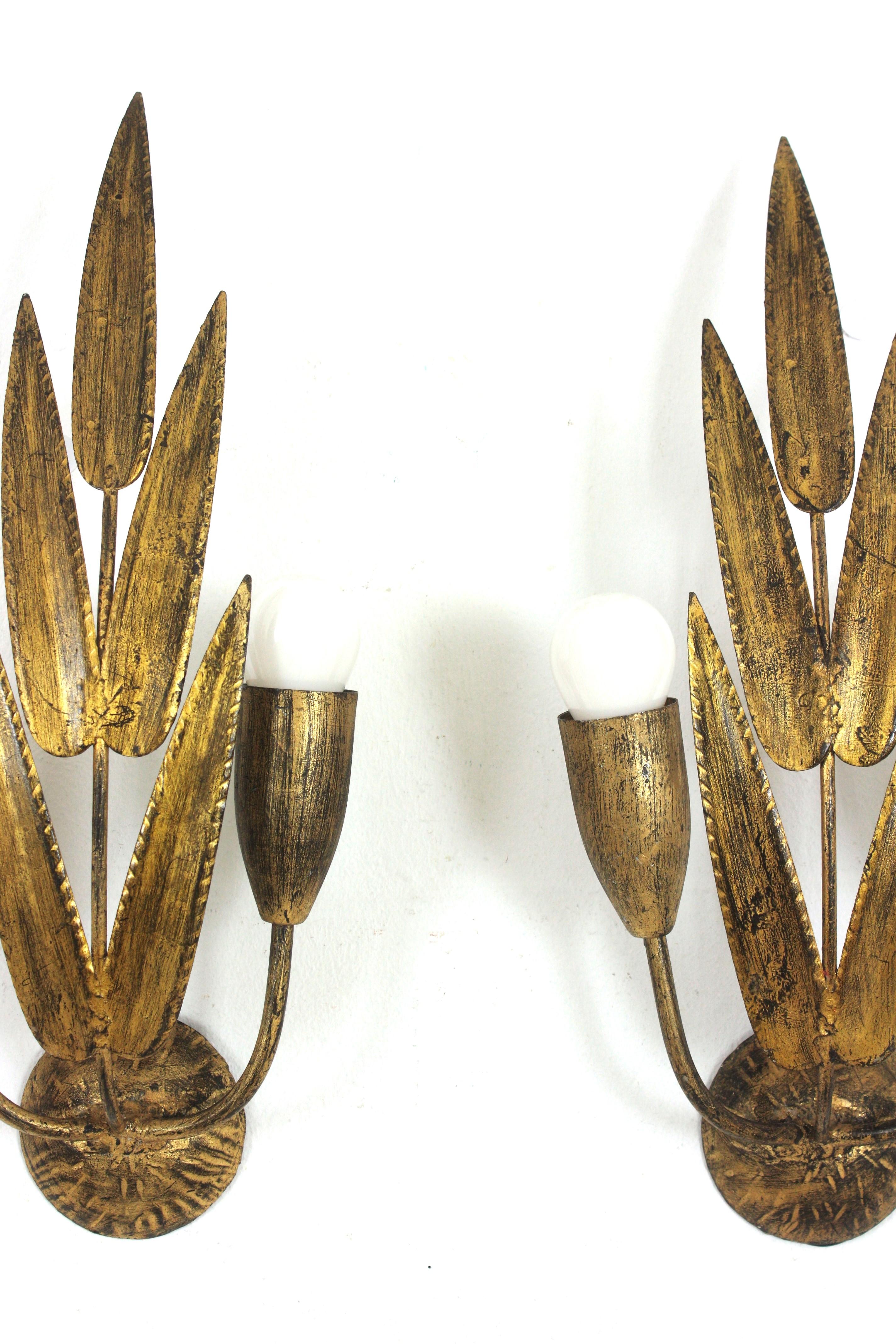 Metal Pair of Spanish Wall Sconces with Foliage Design, Gilt Iron