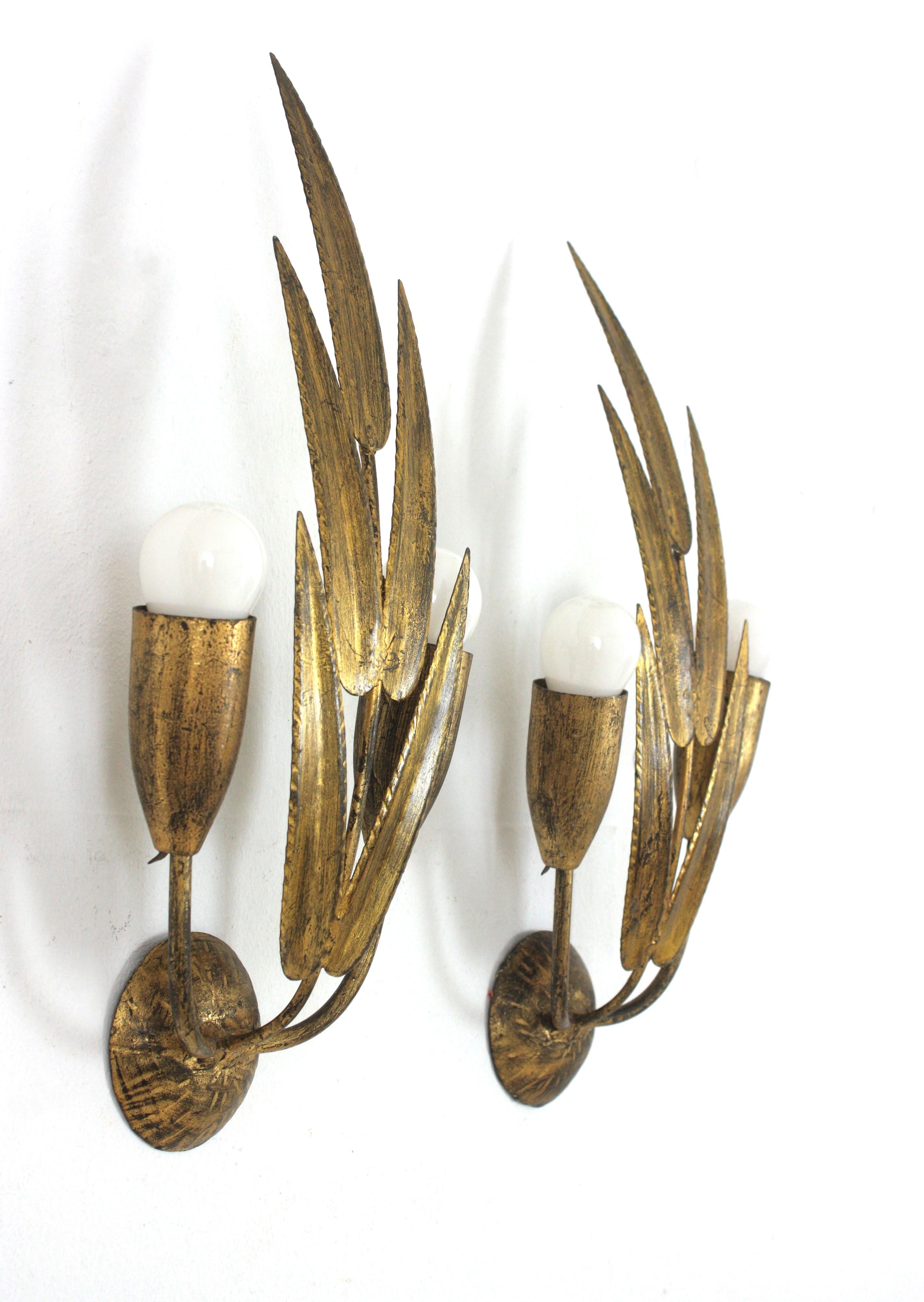Pair of Spanish Wall Sconces with Foliage Design, Gilt Iron 1