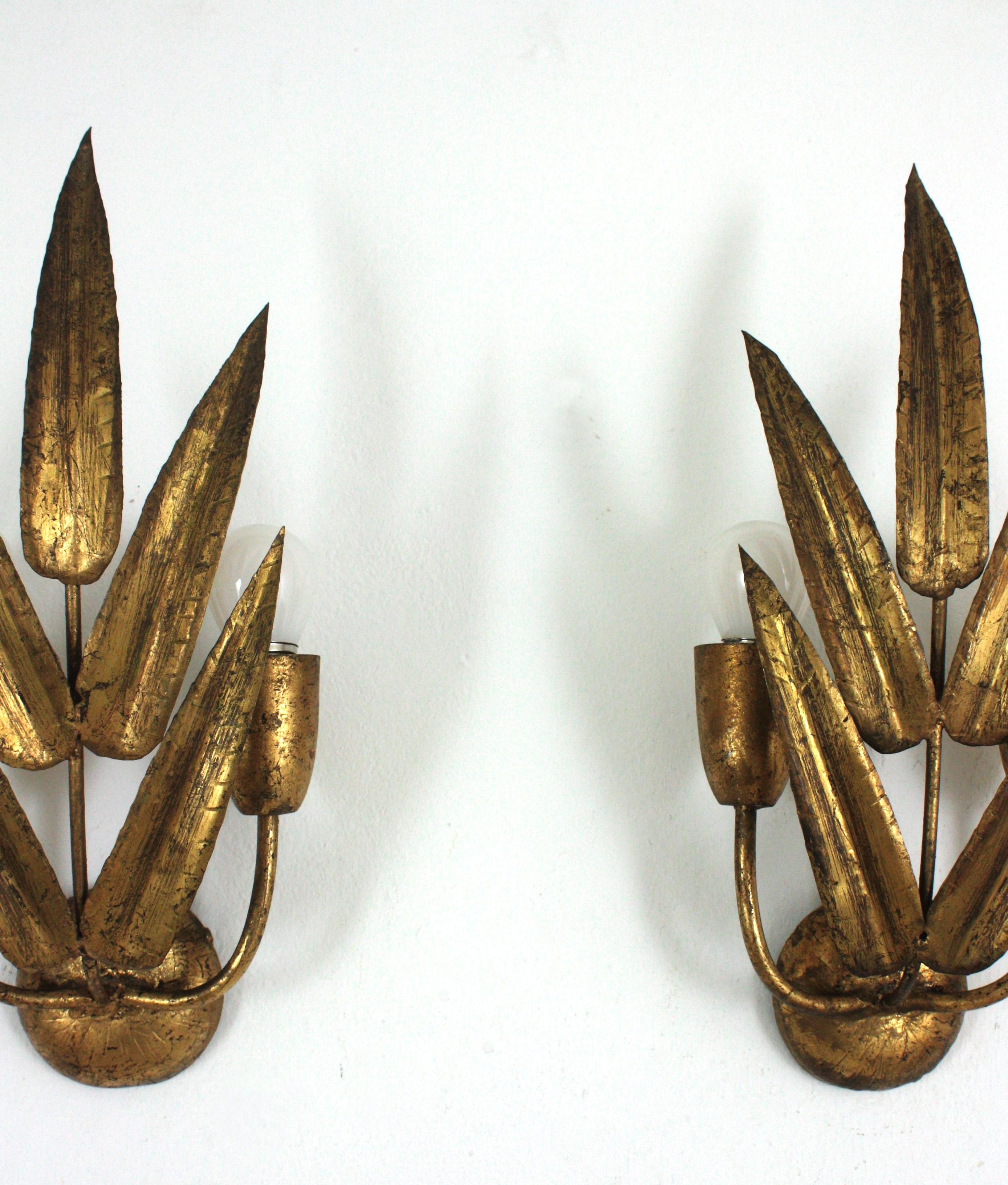 Pareja de Apliques Españoles con Diseño de Follaje, Hierro Dorado en venta 1