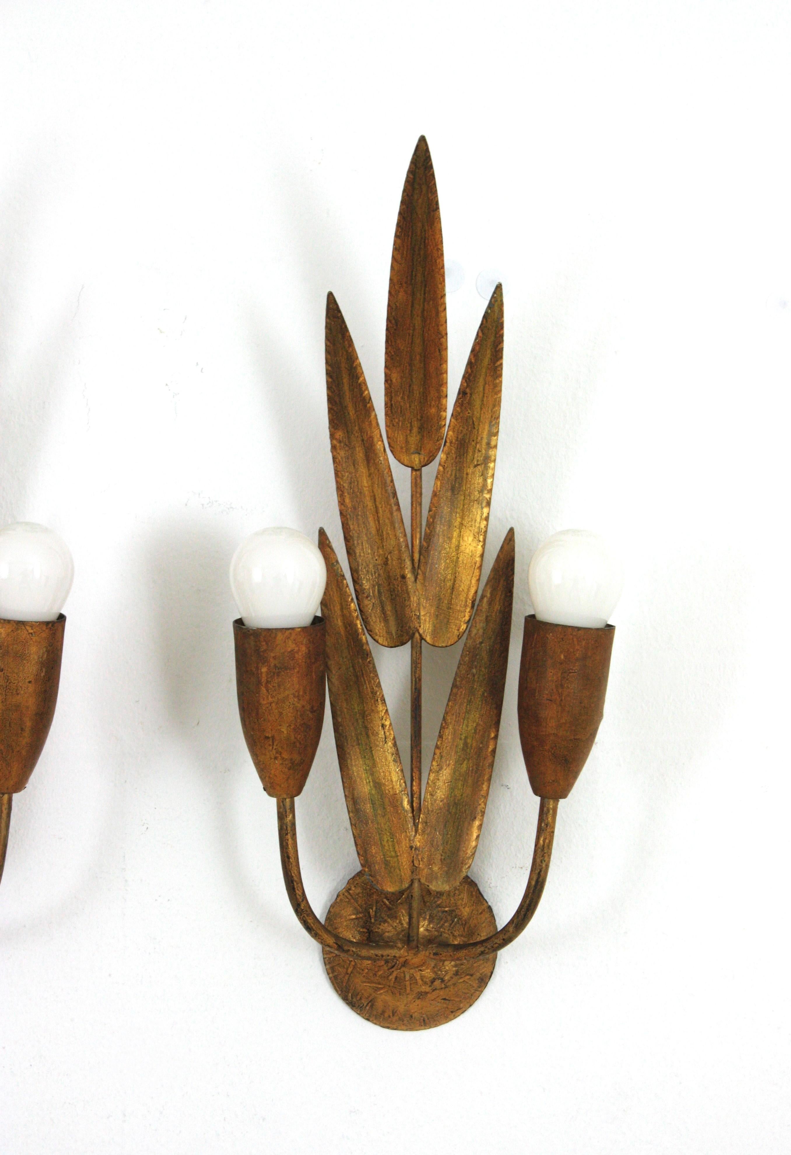 Pair of Spanish Wall Sconces with Foliage Design, Gilt Iron 1