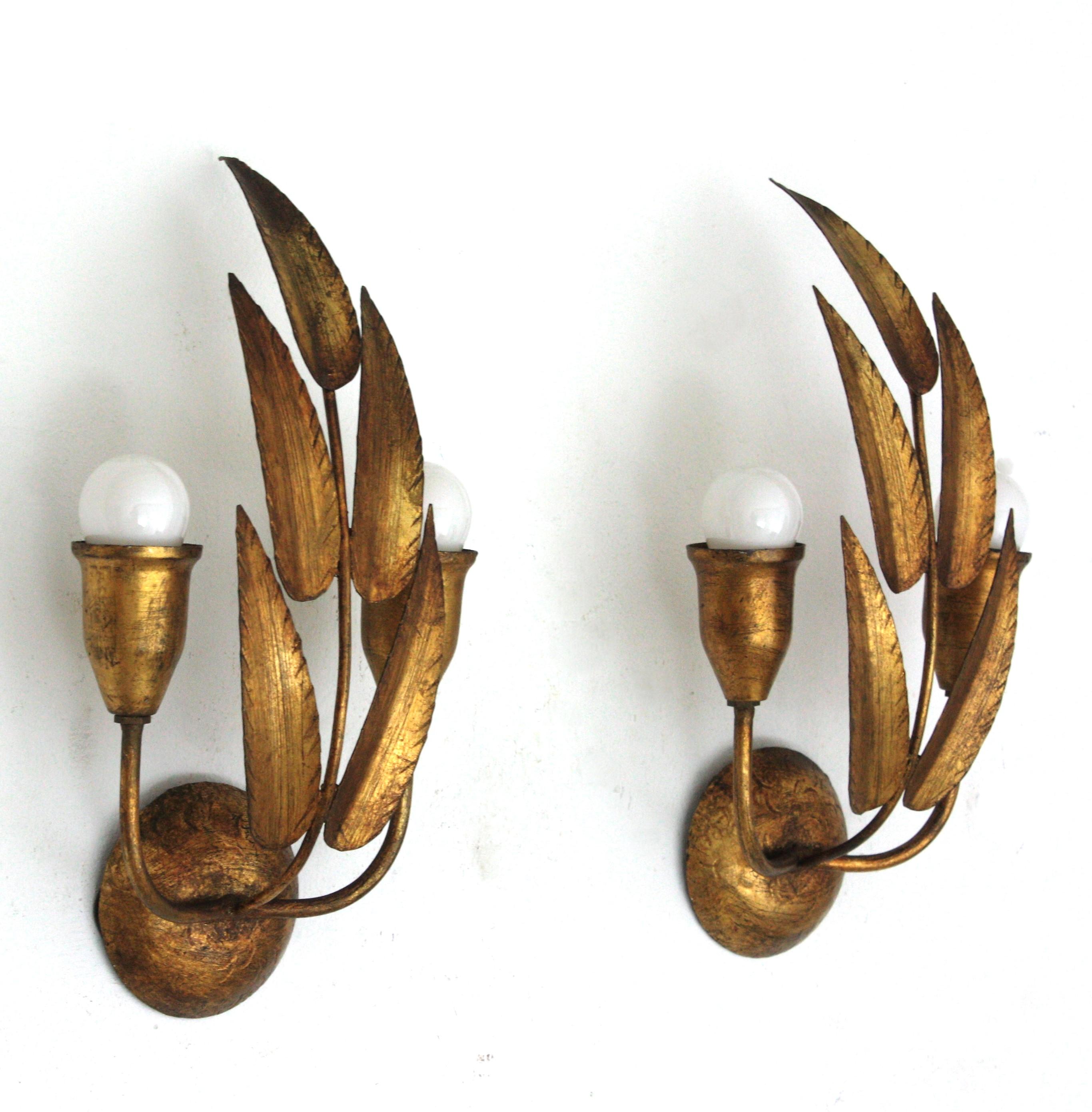 Pair of Spanish Wall Sconces with Foliage Design, Gilt Iron 3