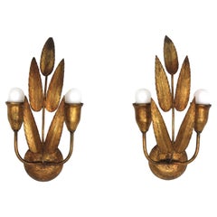 Pair of Spanish Wall Sconces with Foliage Design, Gilt Iron