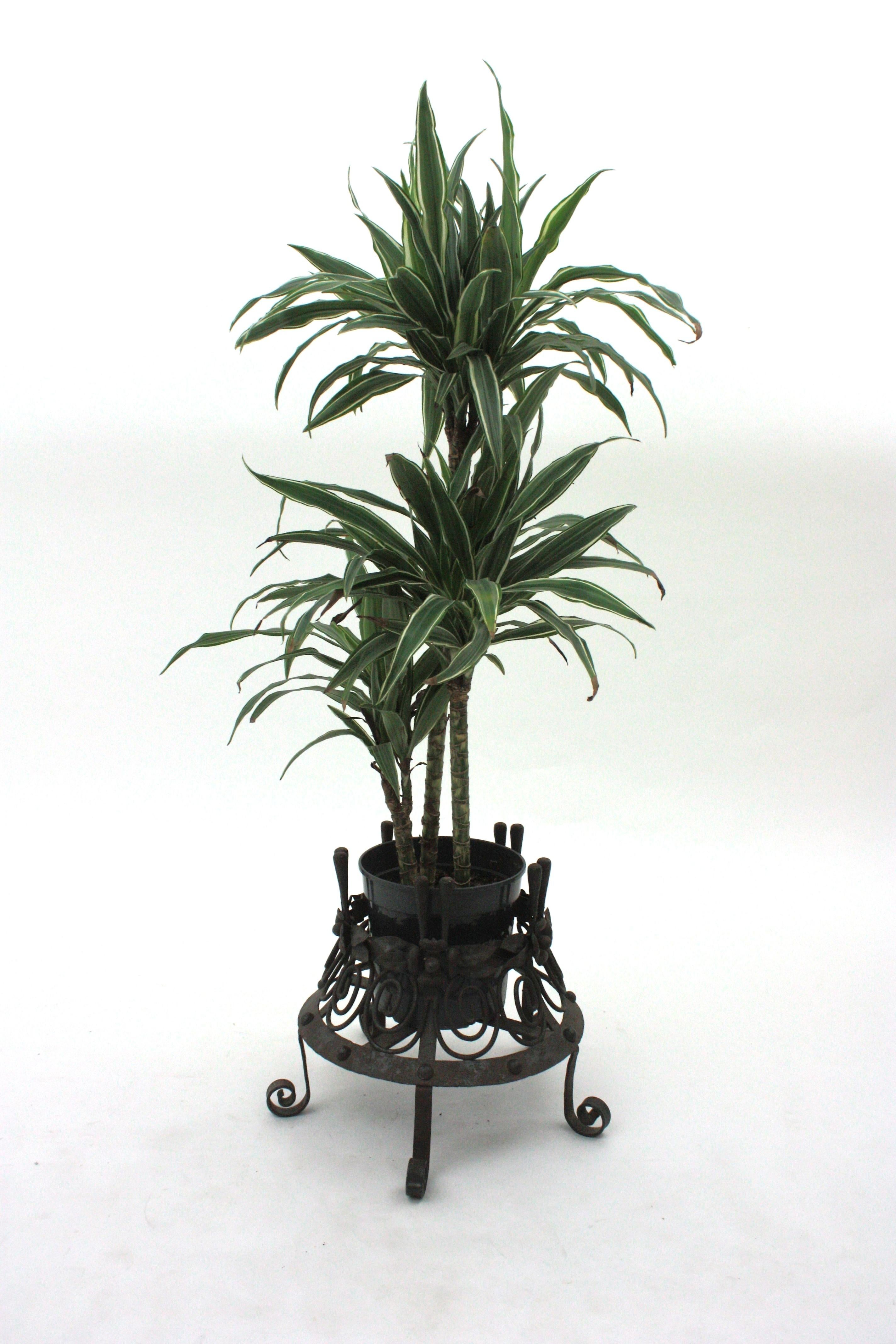 Pair of Spanish Wrought Iron Planters, 1940s For Sale 8