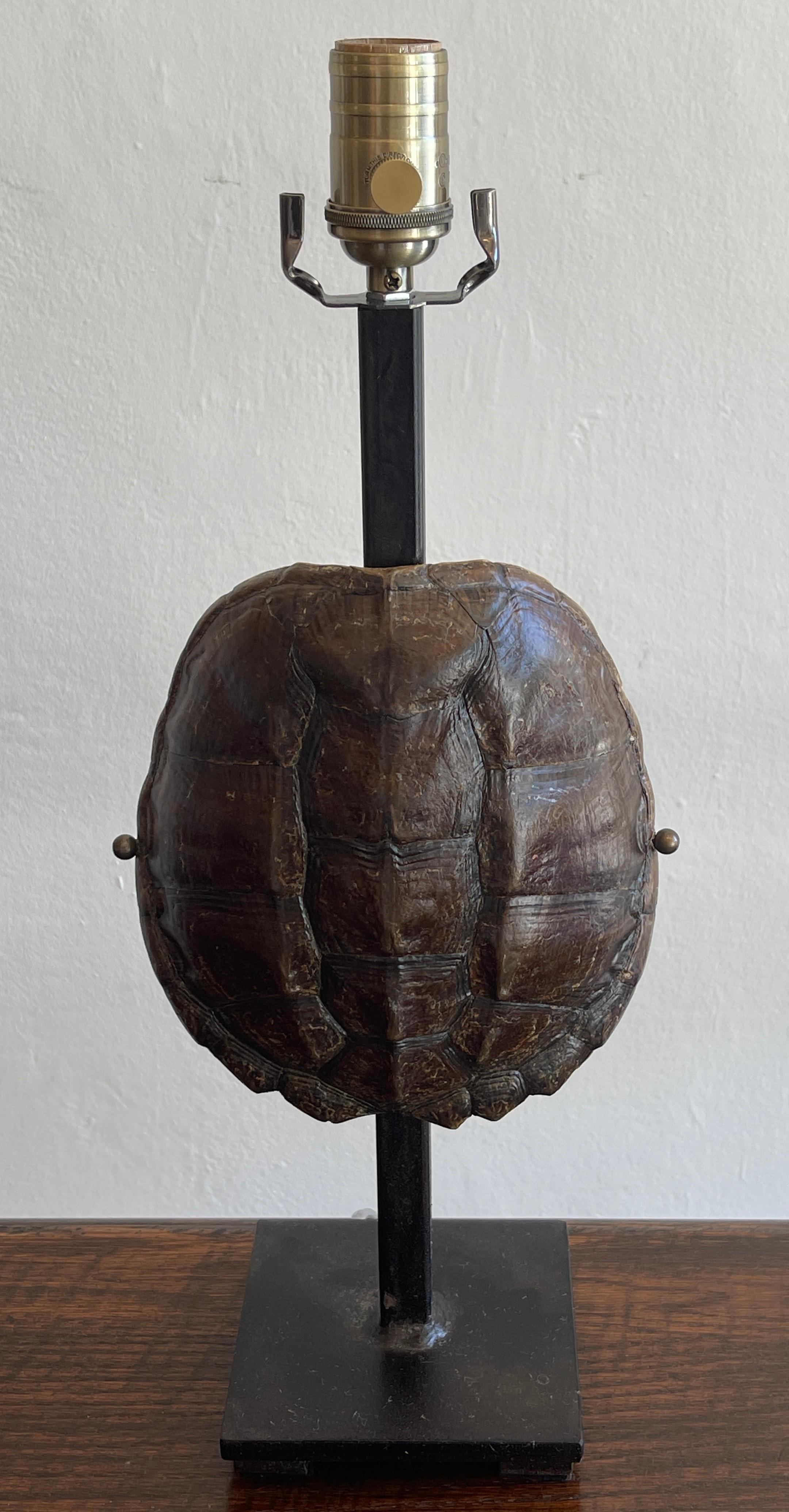 20th Century Pair of Specimen Tortoise Shells, Now as Lamps
