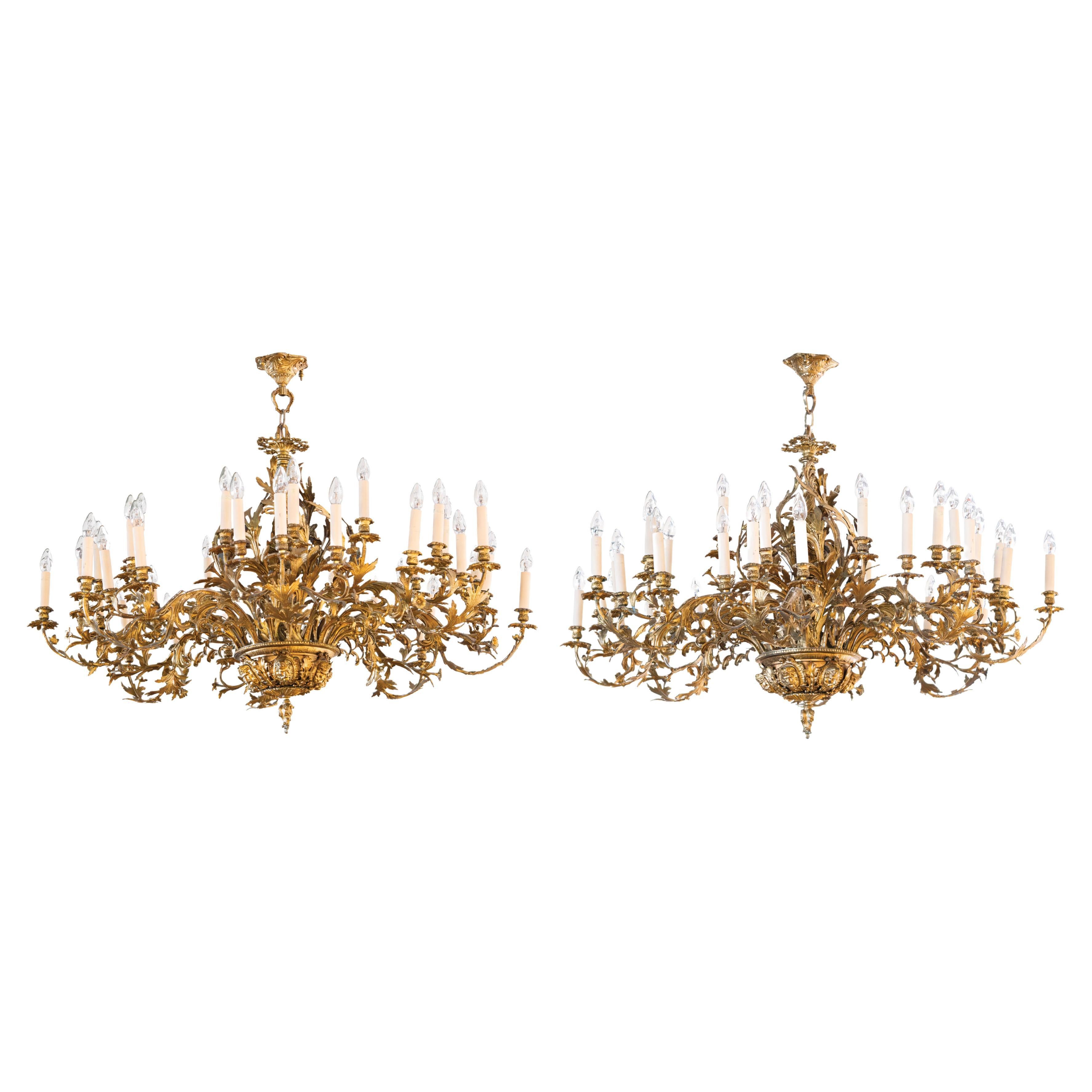 Coppia di spettacolari lampadari di grandi dimensioni in bronzo dorato con bracci a fogliame in vendita