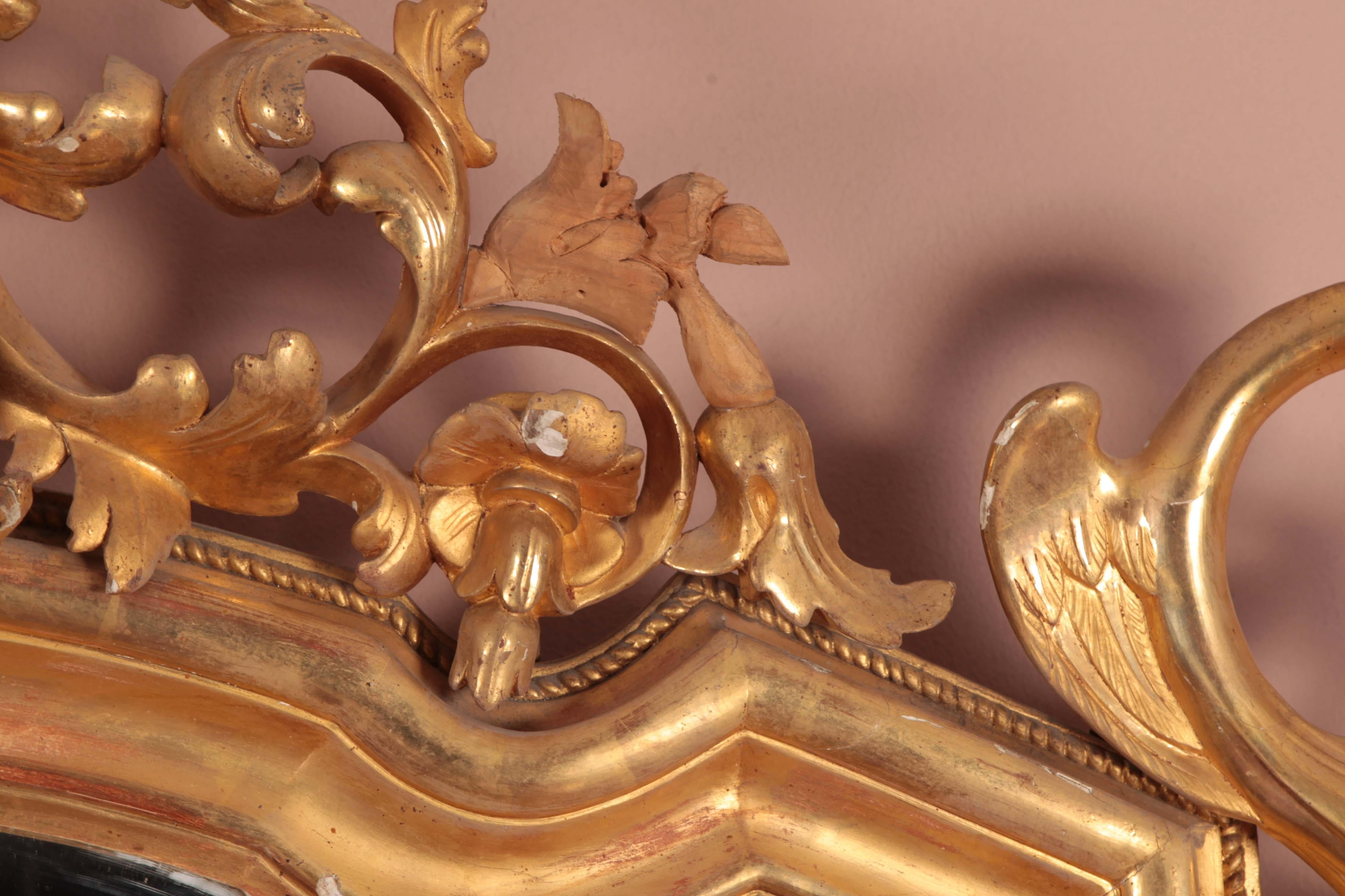 Paire de splendides miroirs rectangulaires vénitiens en bois sculpté et doré. La cimaise est très riche, ornée de motifs végétaux entre lesquels siège un putto, tandis que les angles inférieurs sont sculptés d'un motif animalier