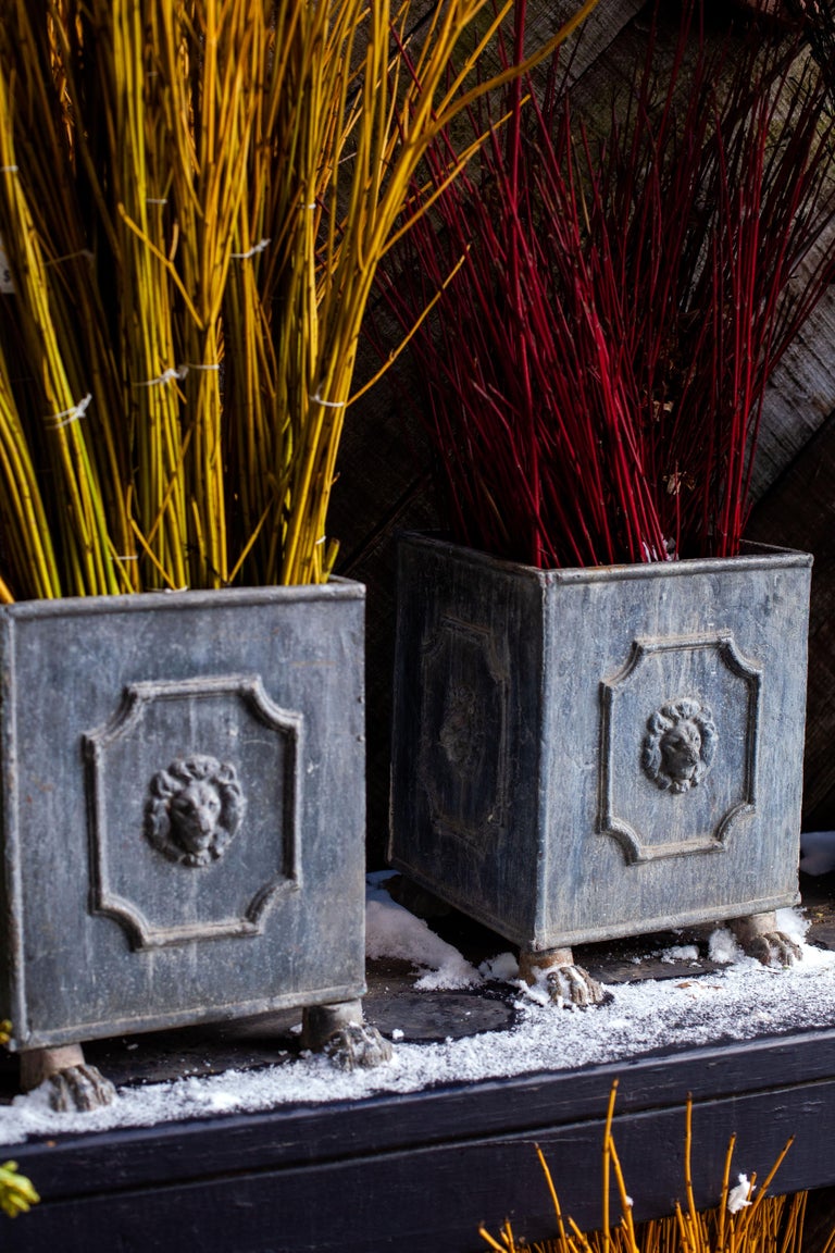 Pair of Square English Lead Lion Planters with Lion Feet at 1stDibs