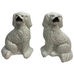 Paar Staffordshire-Hunde