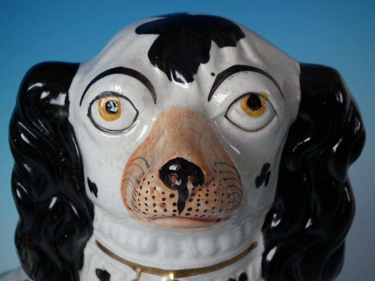 Pair of Staffordshire No.1 Black and White Spaniels 11