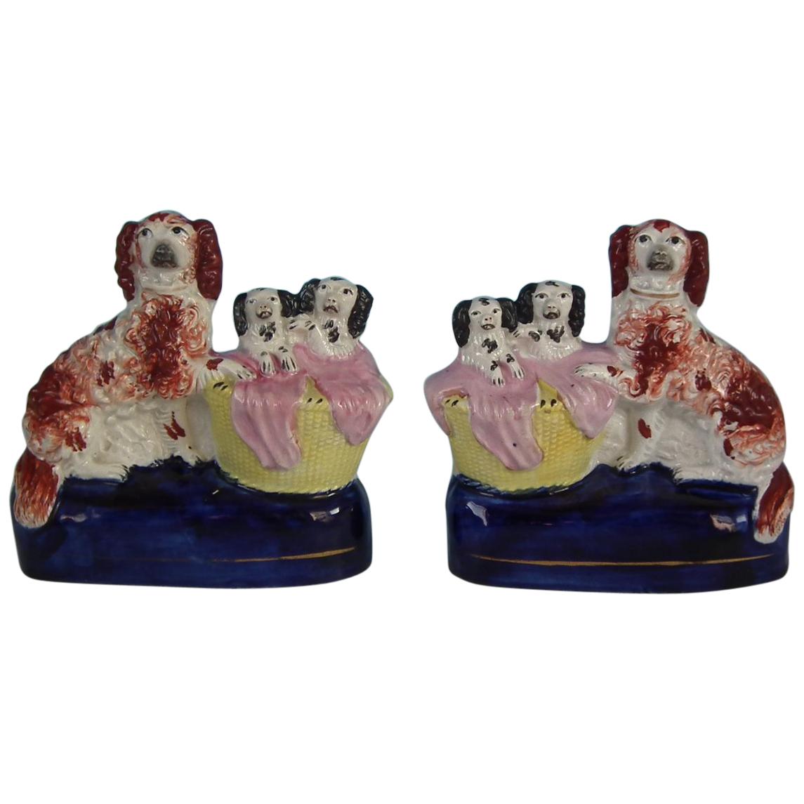 Pair of Staffordshire Spaniel and Pups in Wash Basket