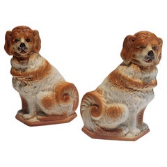 Coppia di Staffordshire Spaniel